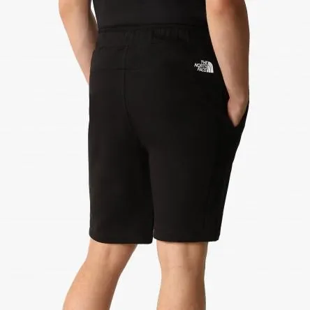 The North Face Summer Logo