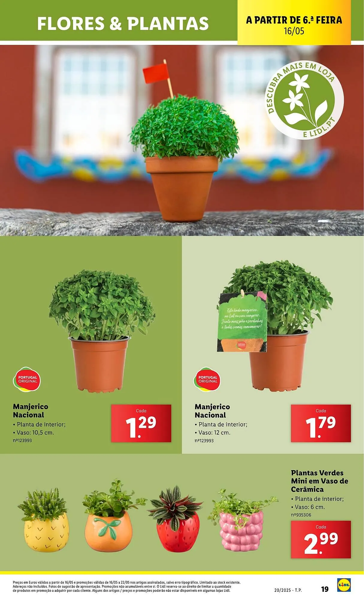 Folheto Folheto Lidl de 12 de maio até 18 de maio 2025 - Pagina 19