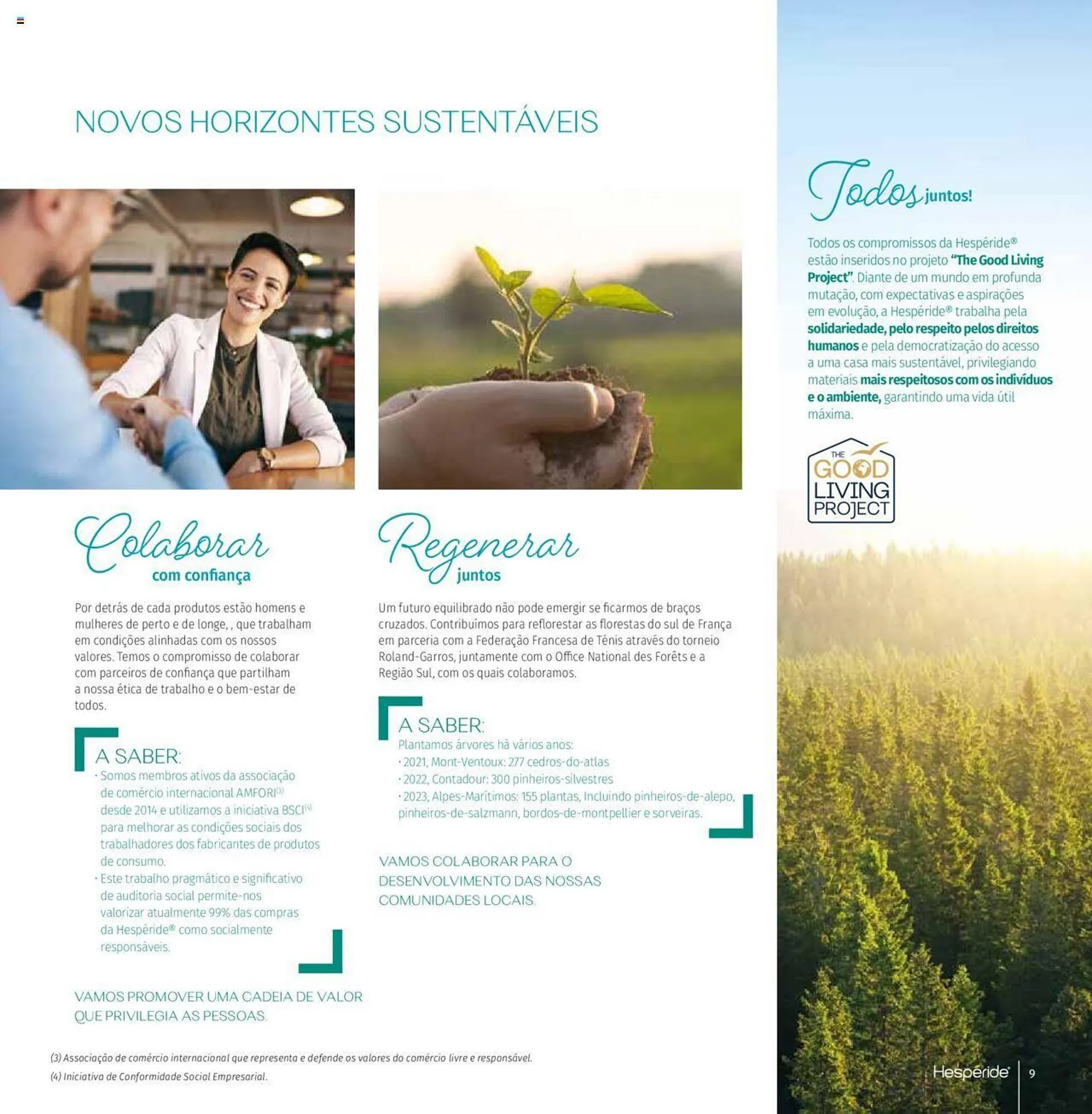 Folheto Folheto Hôma de 16 de abril até 31 de dezembro 2024 - Pagina 9