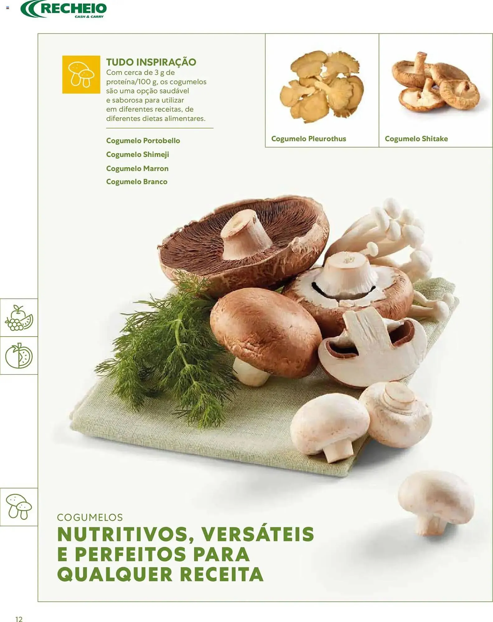 Folheto Folheto Recheio de 16 de março até 1 de janeiro 2027 - Pagina 12