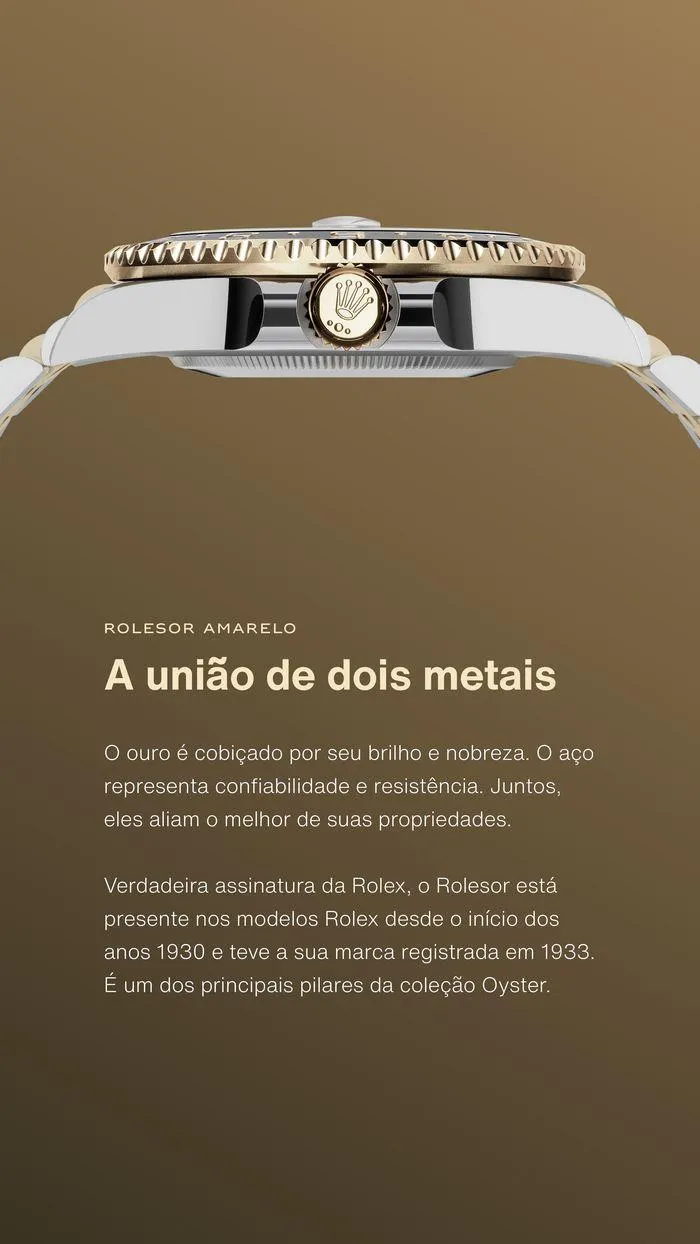 Folheto .Rolex de 4 de janeiro até 4 de janeiro 2025 - Pagina 6