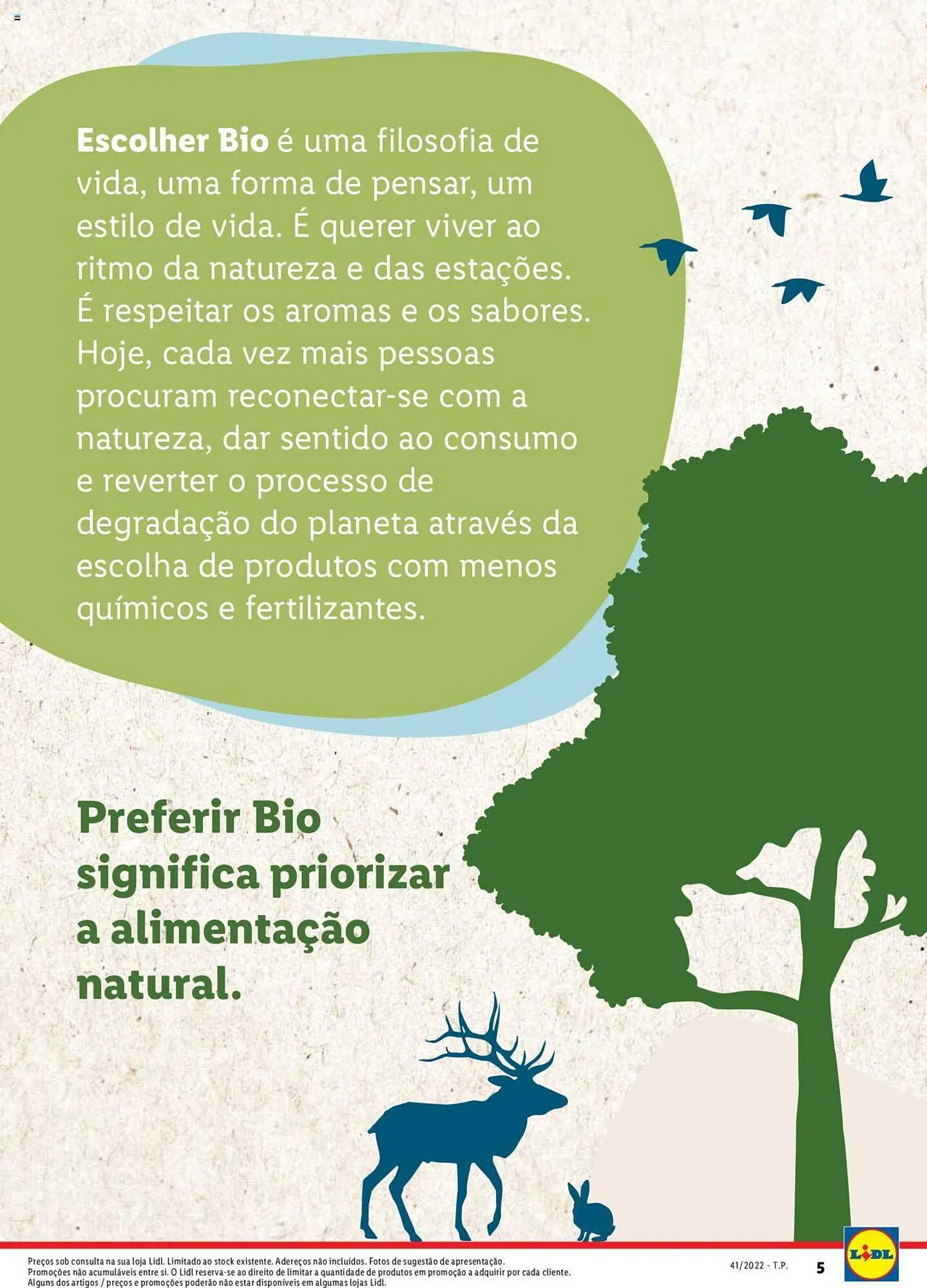 Folheto Folheto Lidl de 5 de janeiro até 1 de janeiro 2025 - Pagina 5