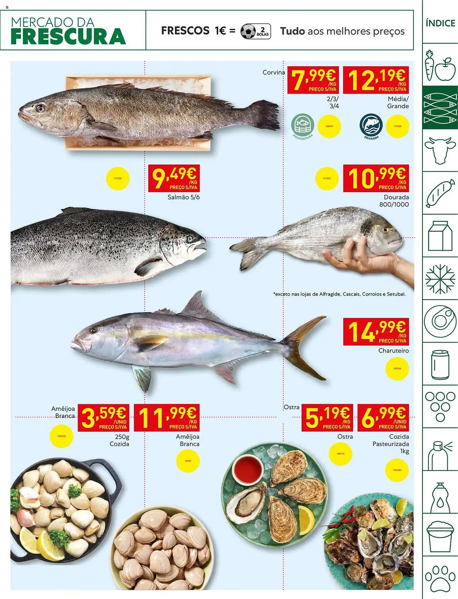 Folheto Folheto Recheio de 14 de abril até 21 de abril 2026 - Pagina 5