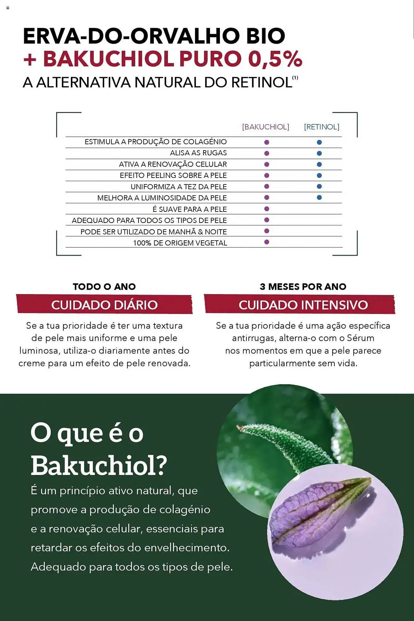 Folheto Folheto Yves Rocher de 30 de janeiro até 26 de fevereiro 2025 - Pagina 18