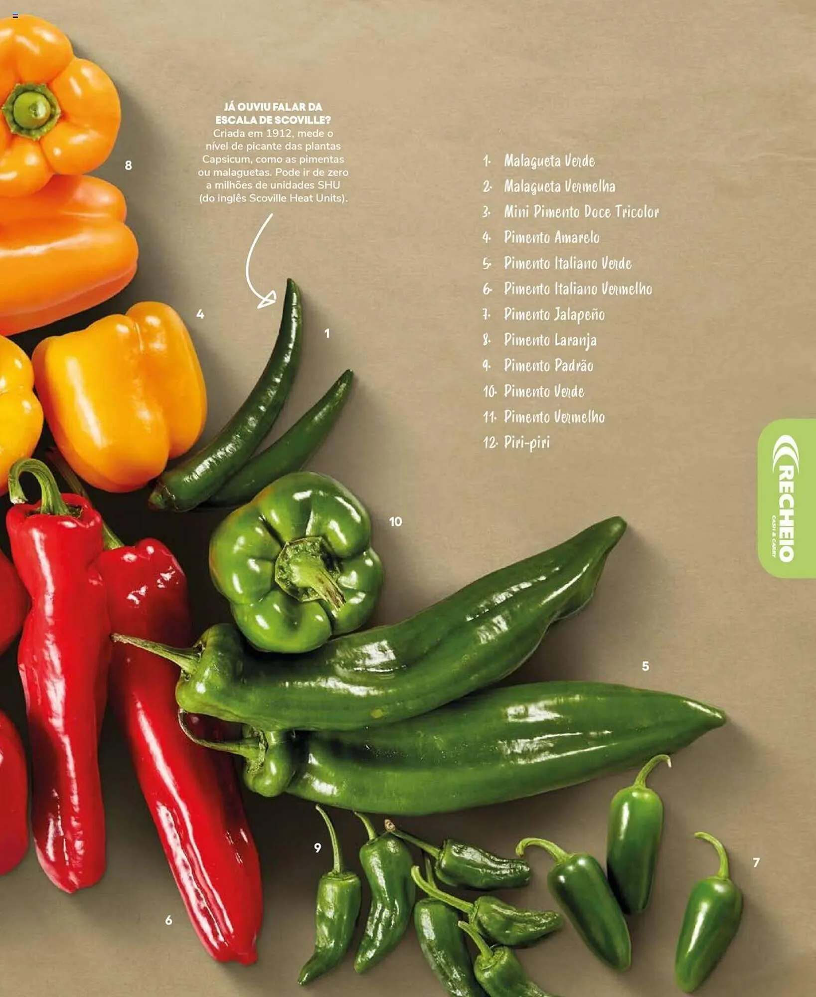 Folheto Folheto Recheio de 19 de setembro até 31 de dezembro 2025 - Pagina 19