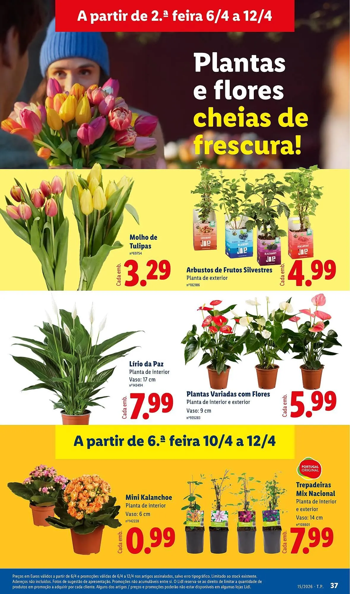 Folheto Folheto Lidl de 6 de abril até 12 de abril 2026 - Pagina 37