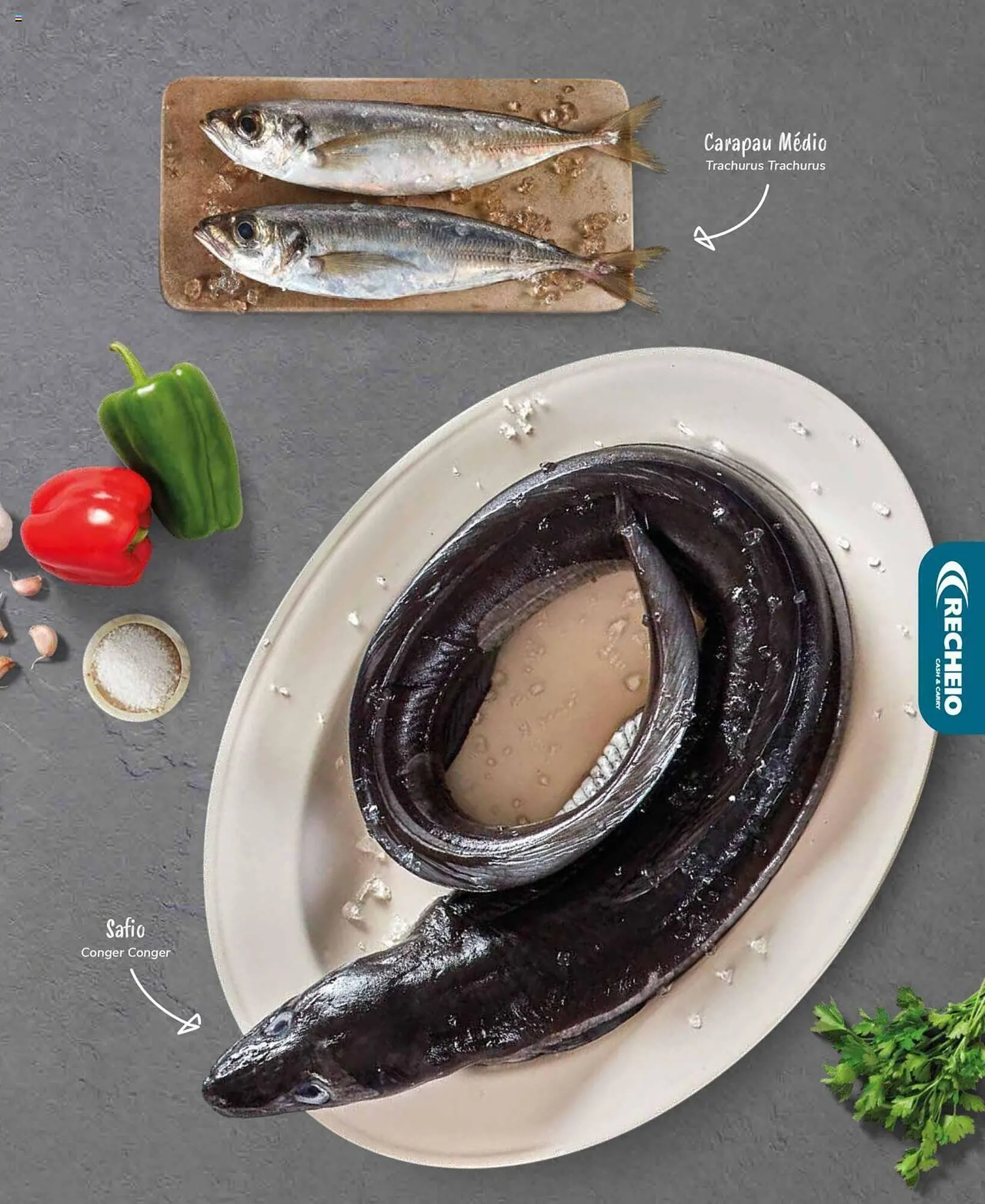 Folheto Folheto Recheio de 19 de setembro até 31 de dezembro 2025 - Pagina 15