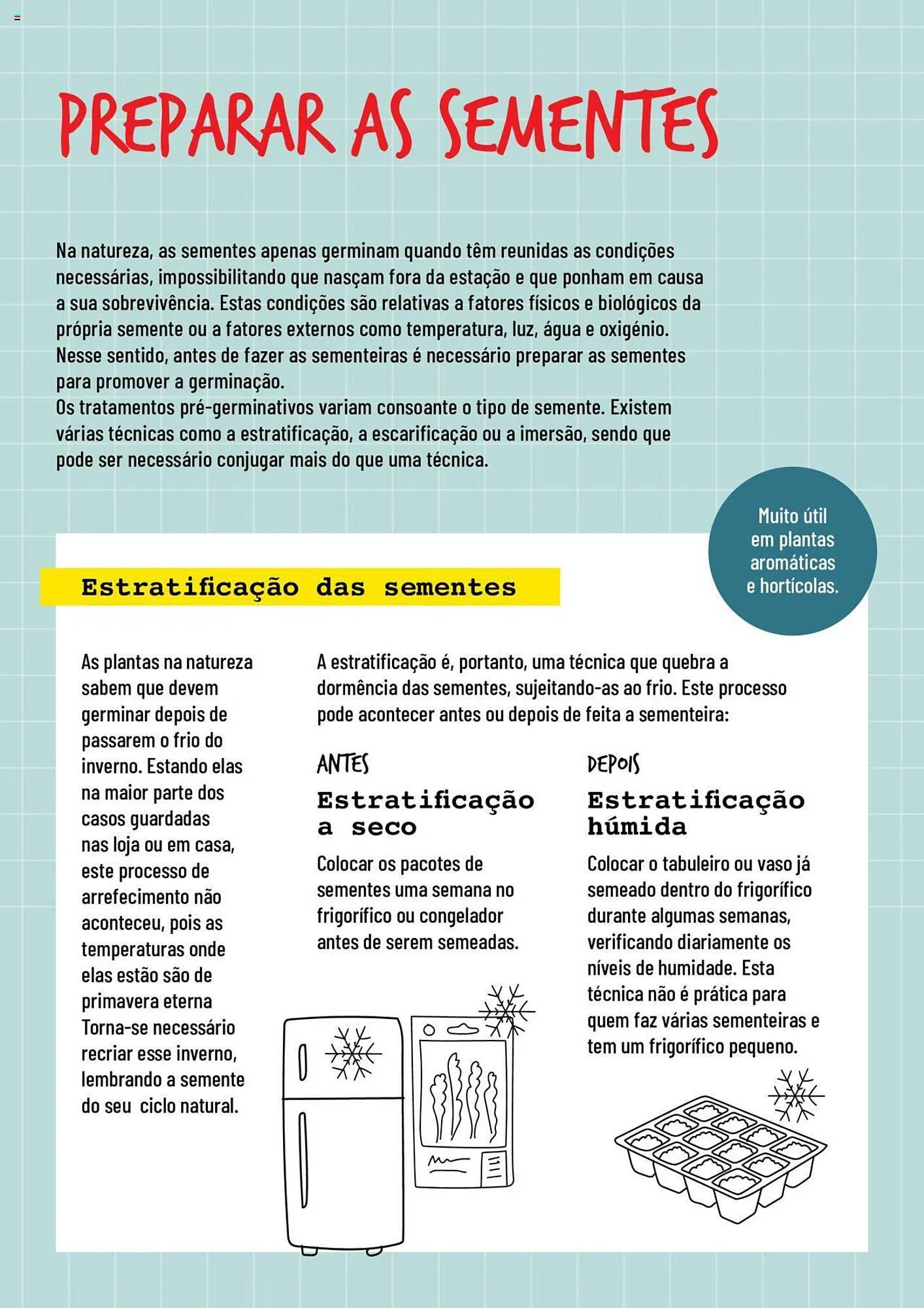 Folheto Folheto Bricomarché Sementeiras de 17 de janeiro até 31 de dezembro 2024 - Pagina 2