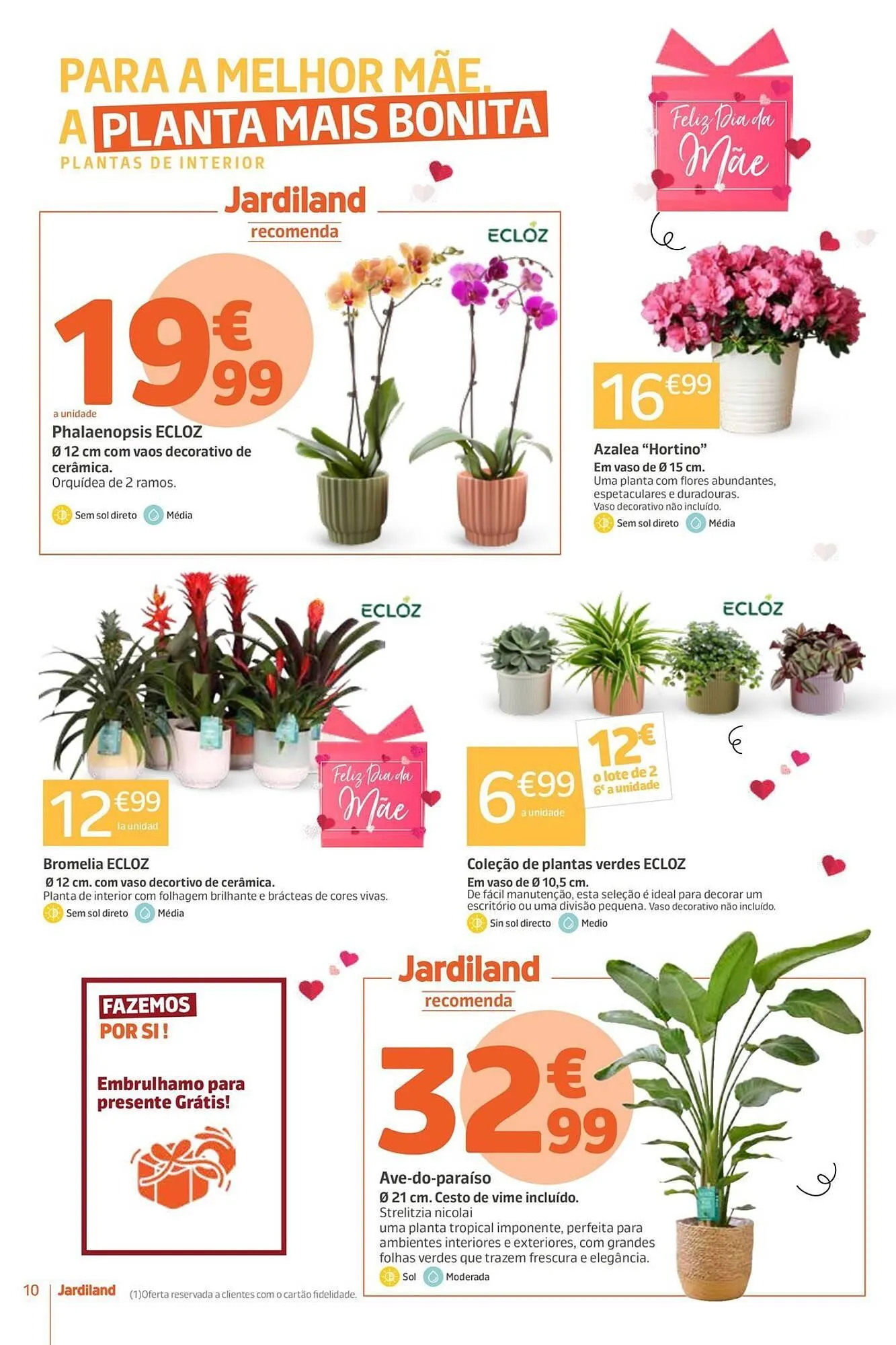 Folheto Catálogo Jardiland de 23 de abril até 3 de maio 2026 - Pagina 10