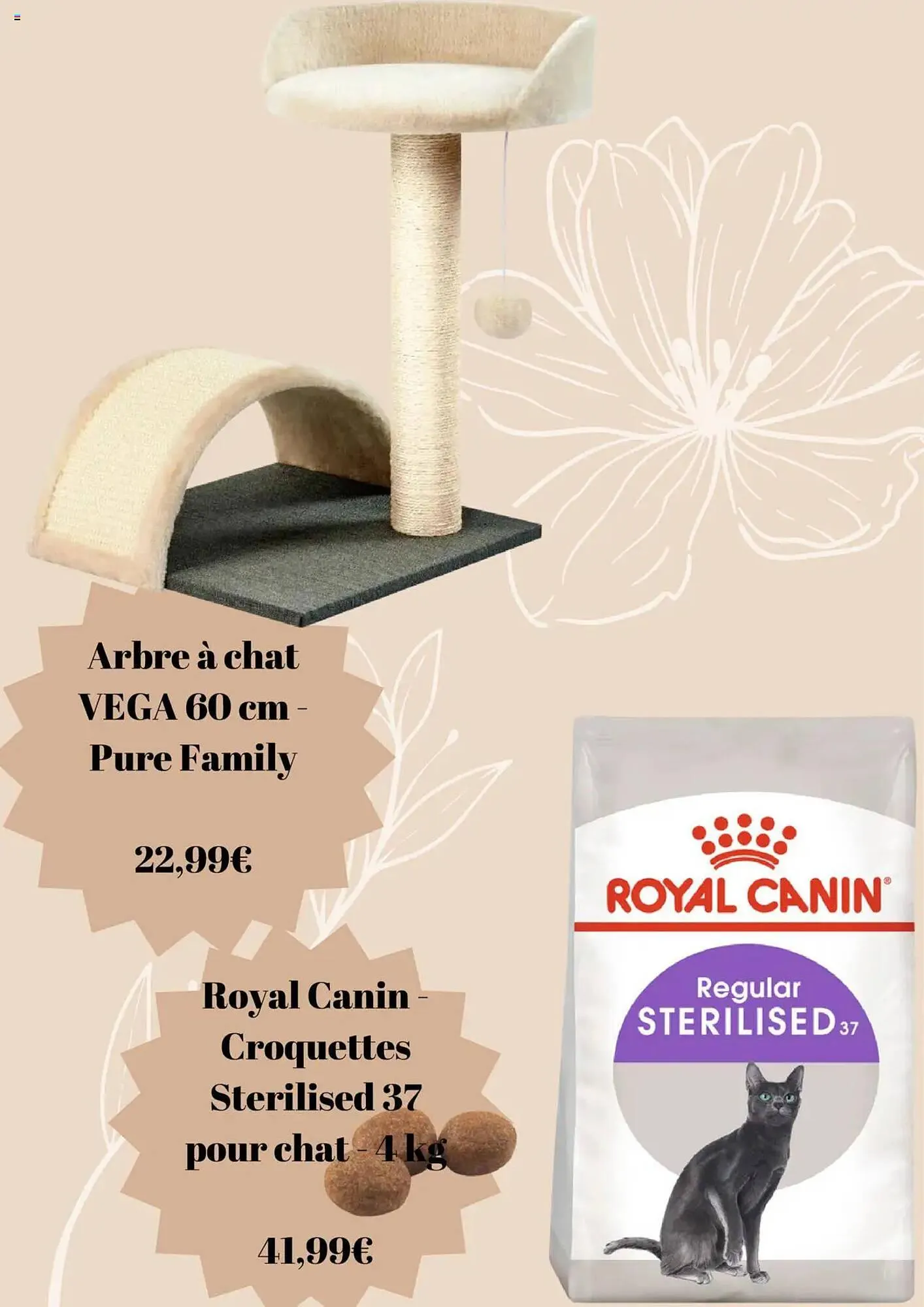 Folheto Folheto Jardiland de 3 de janeiro até 3 de fevereiro 2025 - Pagina 5