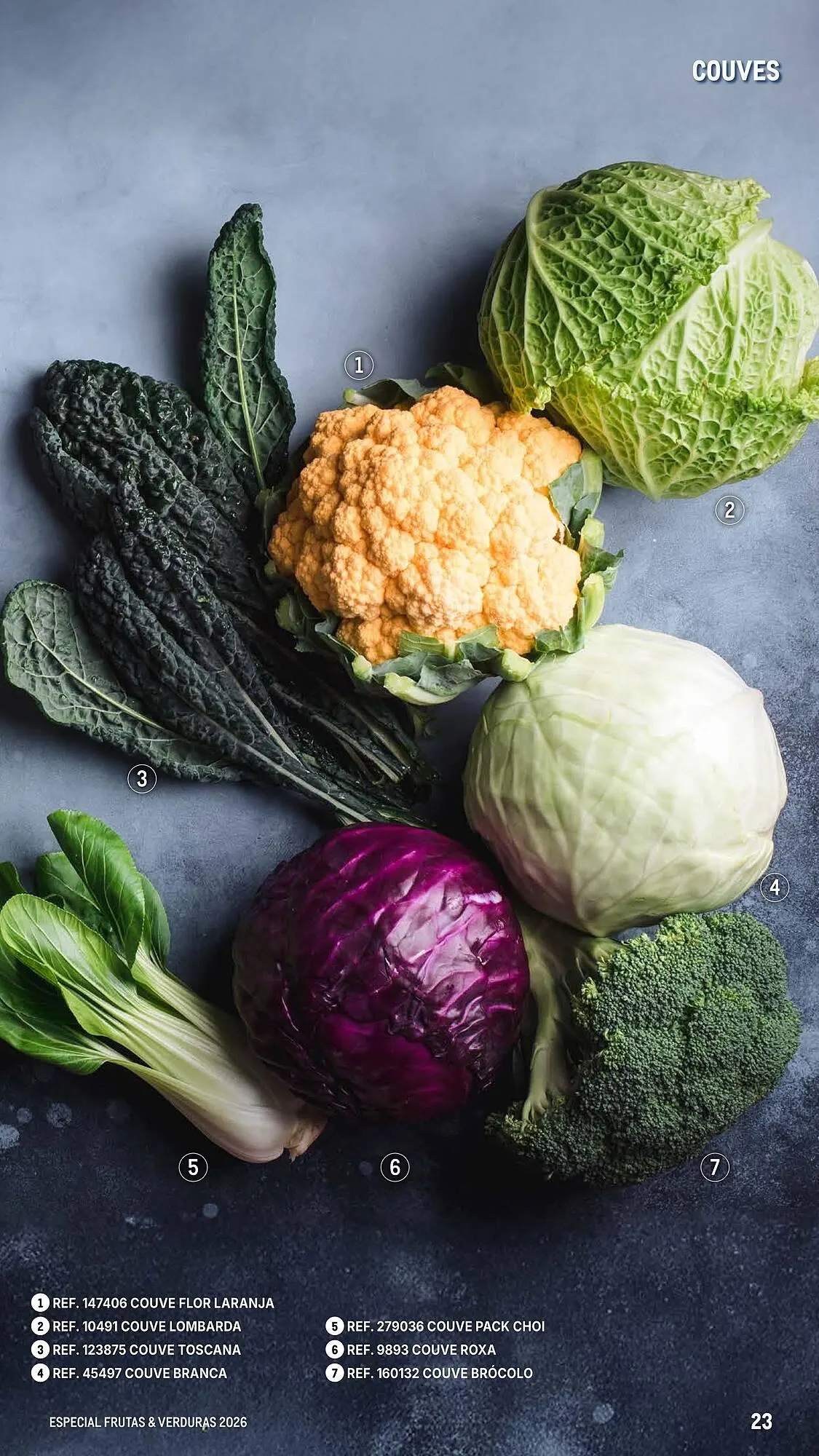 Folheto Catálogo Makro de 6 de março até 25 de abril 2026 - Pagina 23