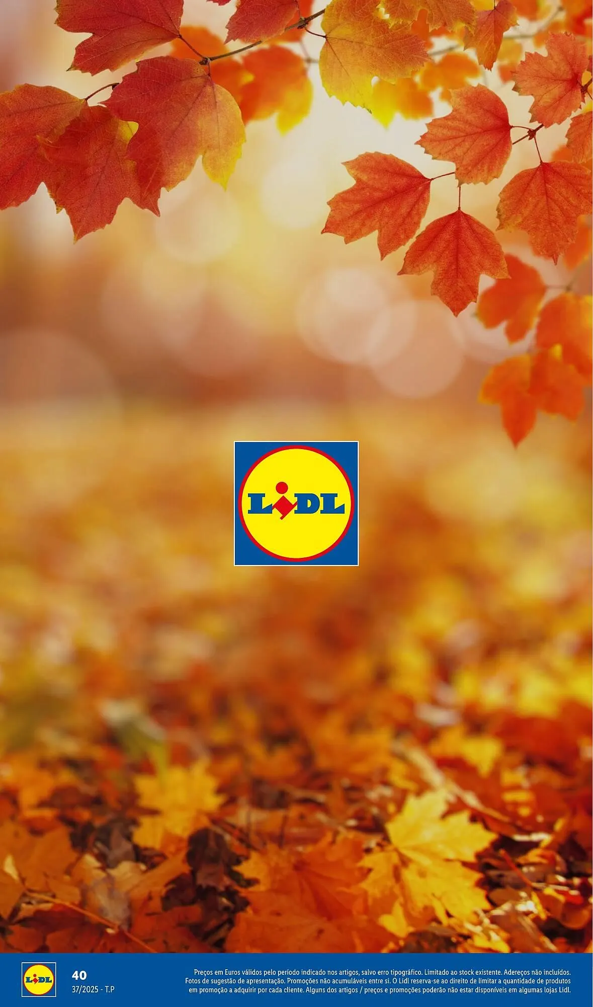 Folheto Folheto Lidl de 8 de setembro até 1 de dezembro 2025 - Pagina 40