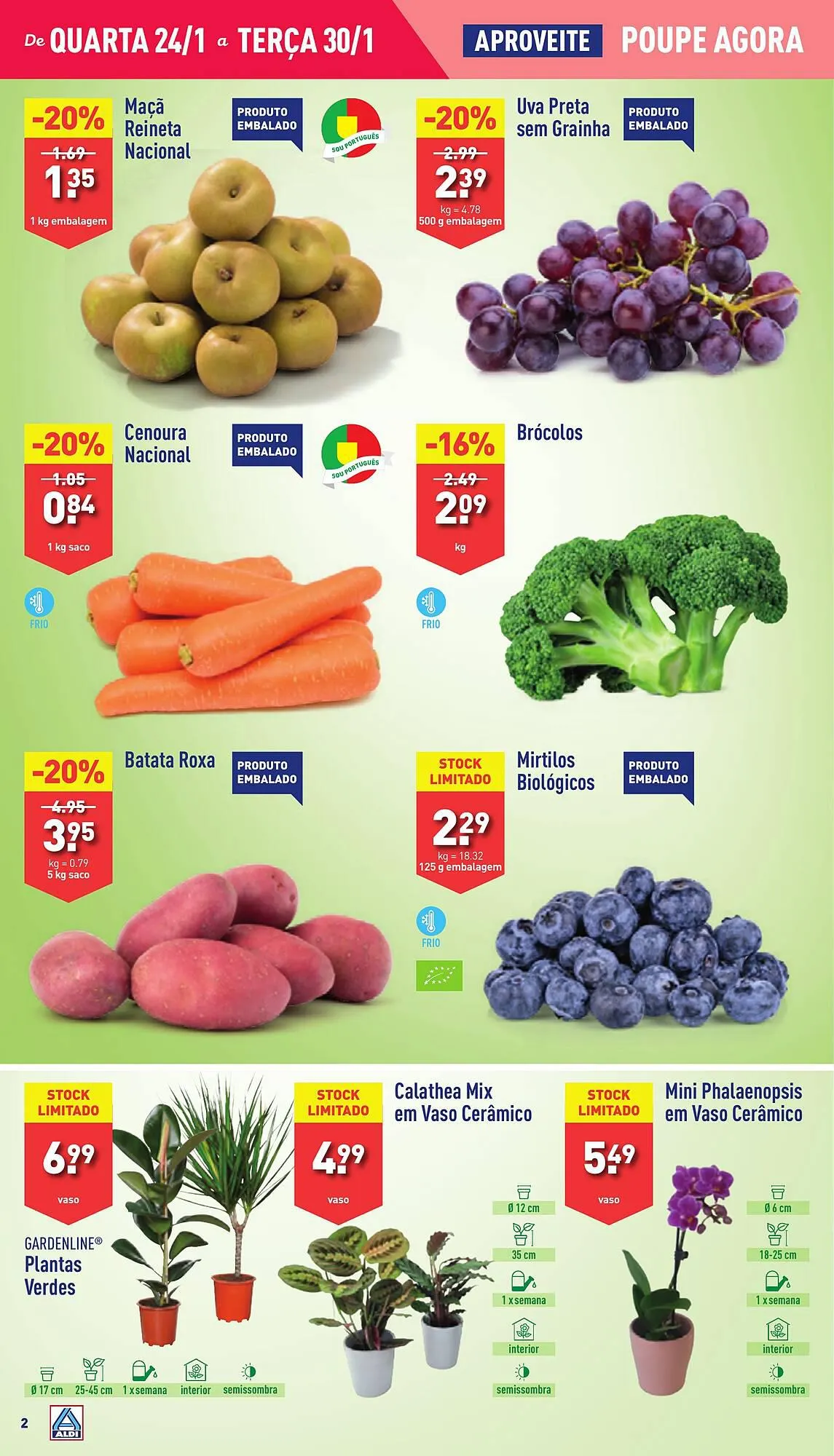 Folheto Folheto ALDI de 24 de janeiro até 30 de janeiro 2024 - Pagina 2