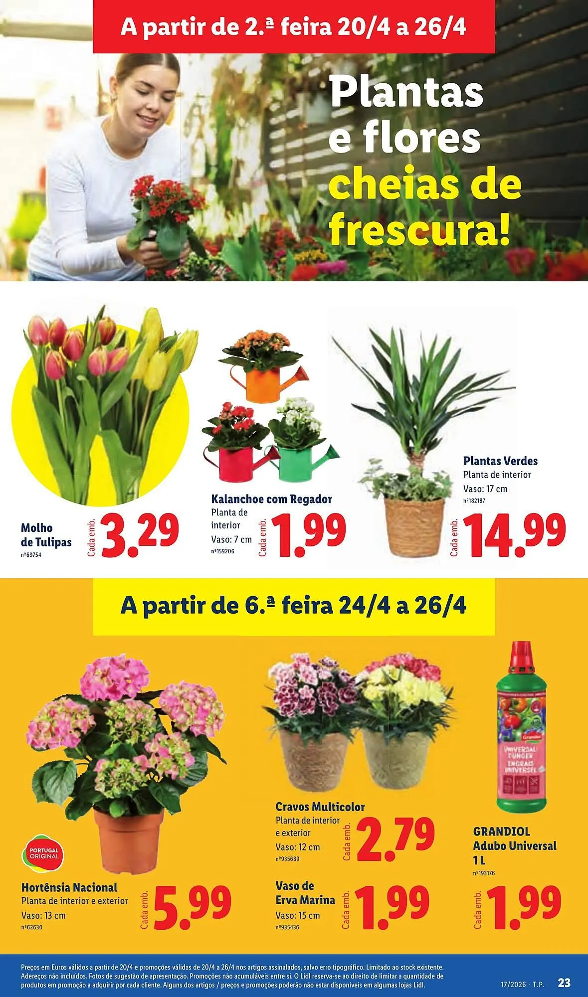 Folheto Folheto Lidl de 20 de abril até 26 de abril 2026 - Pagina 23