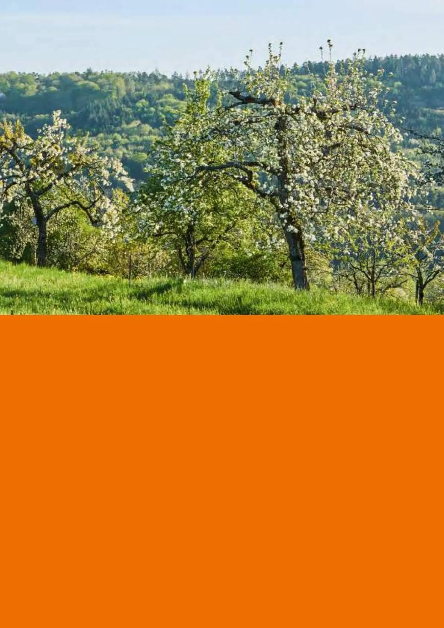 Folheto Folheto Stihl de 3 de julho até 31 de dezembro 2023 - Pagina 13