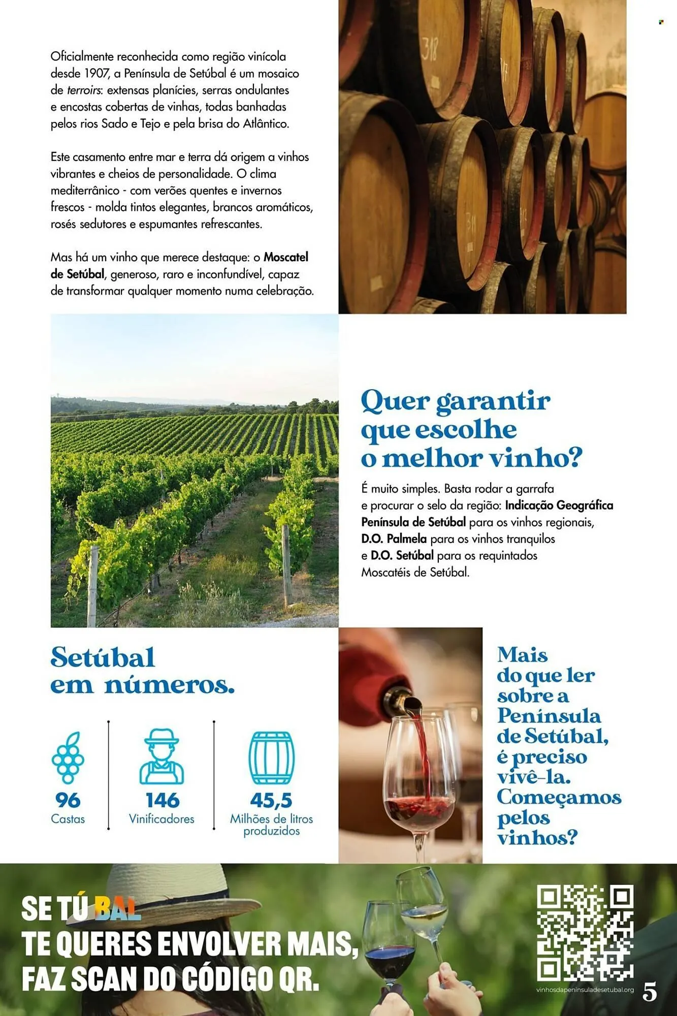 Folheto Folheto Pingo Doce de 6 de maio até 26 de maio 2025 - Pagina 5