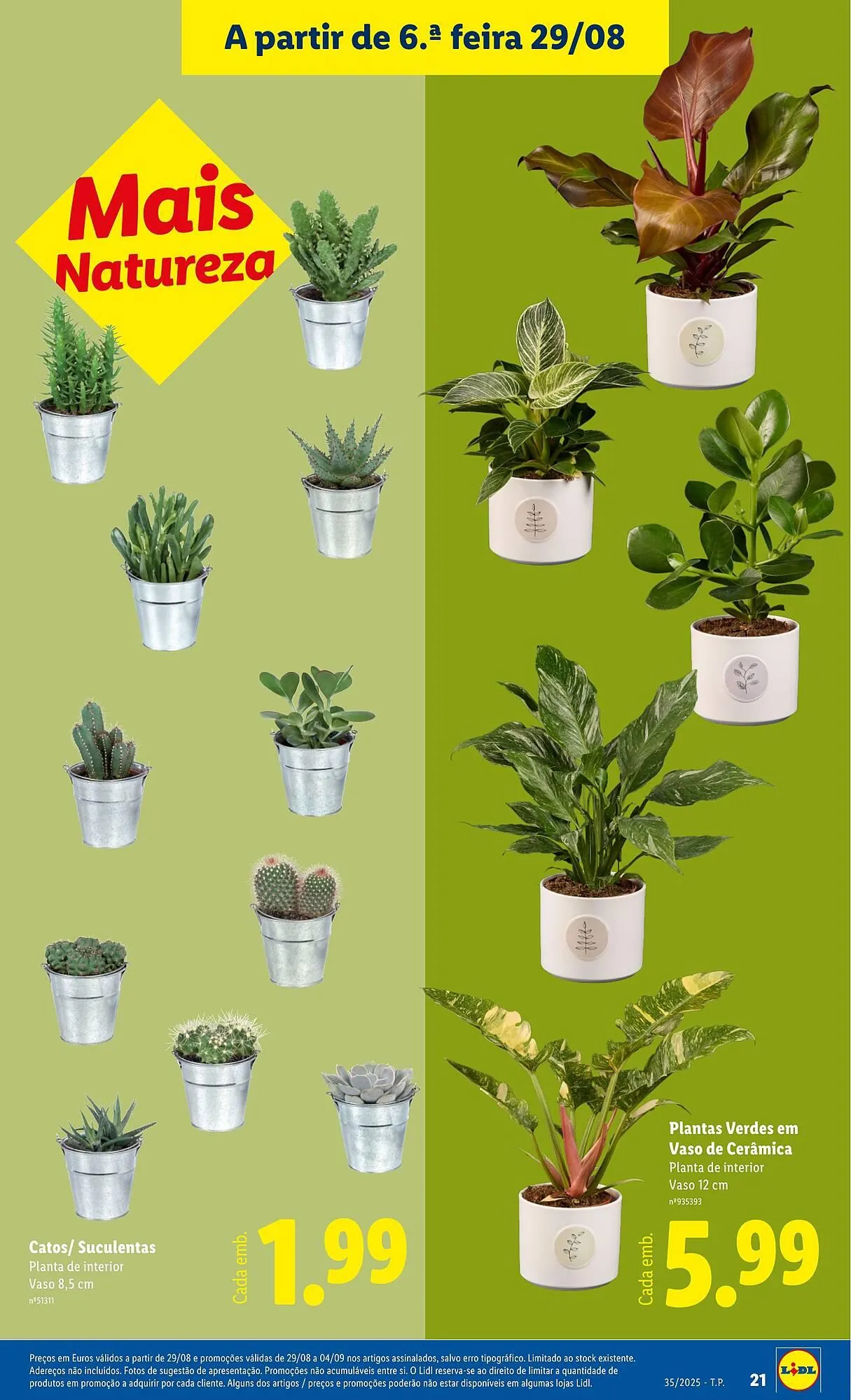 Folheto Folheto Lidl de 25 de agosto até 31 de agosto 2025 - Pagina 21