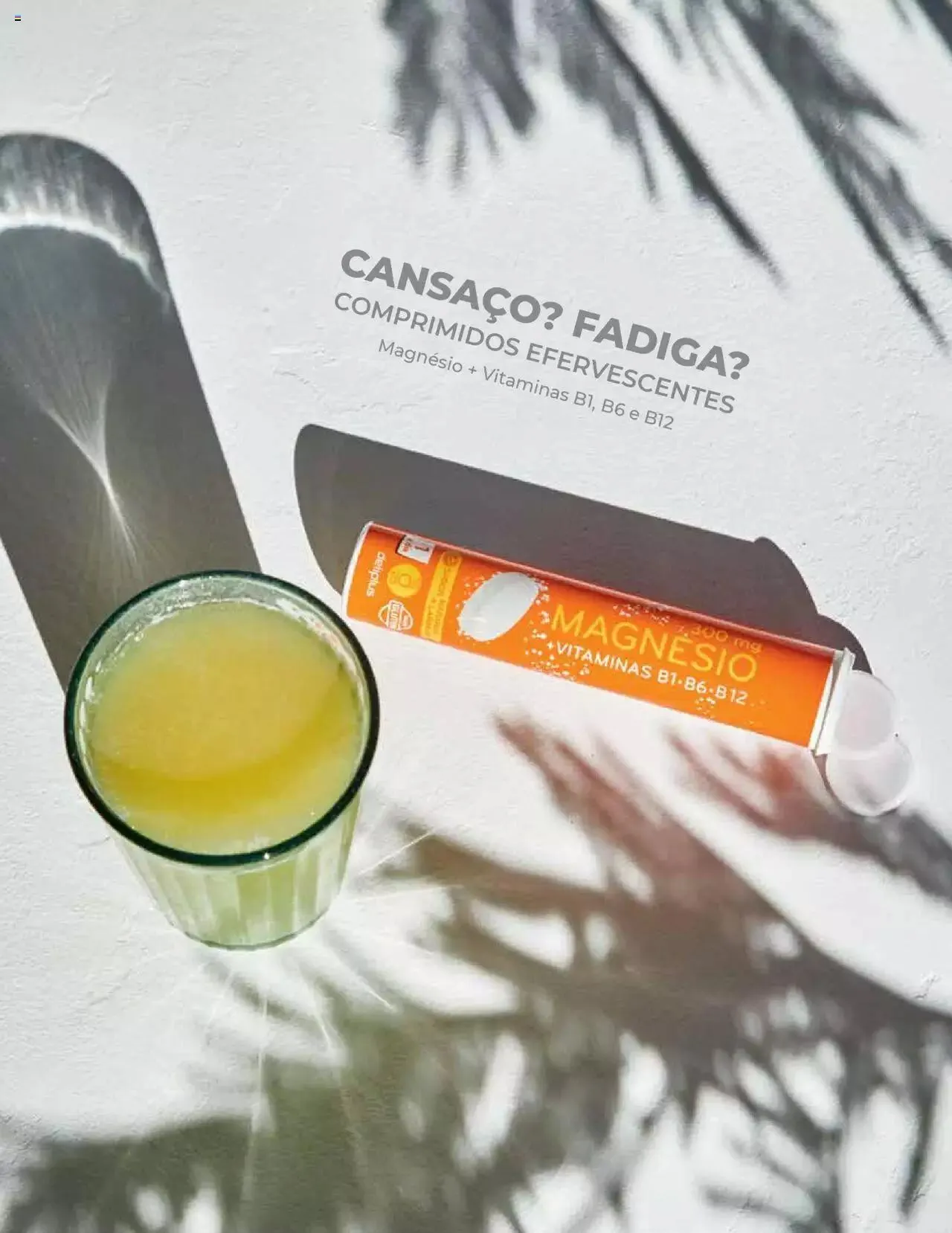 Folheto Mercadona folheto de 1 de março até 31 de dezembro 2023 - Pagina 13