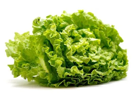 alface auchan cultivamos o bom kg