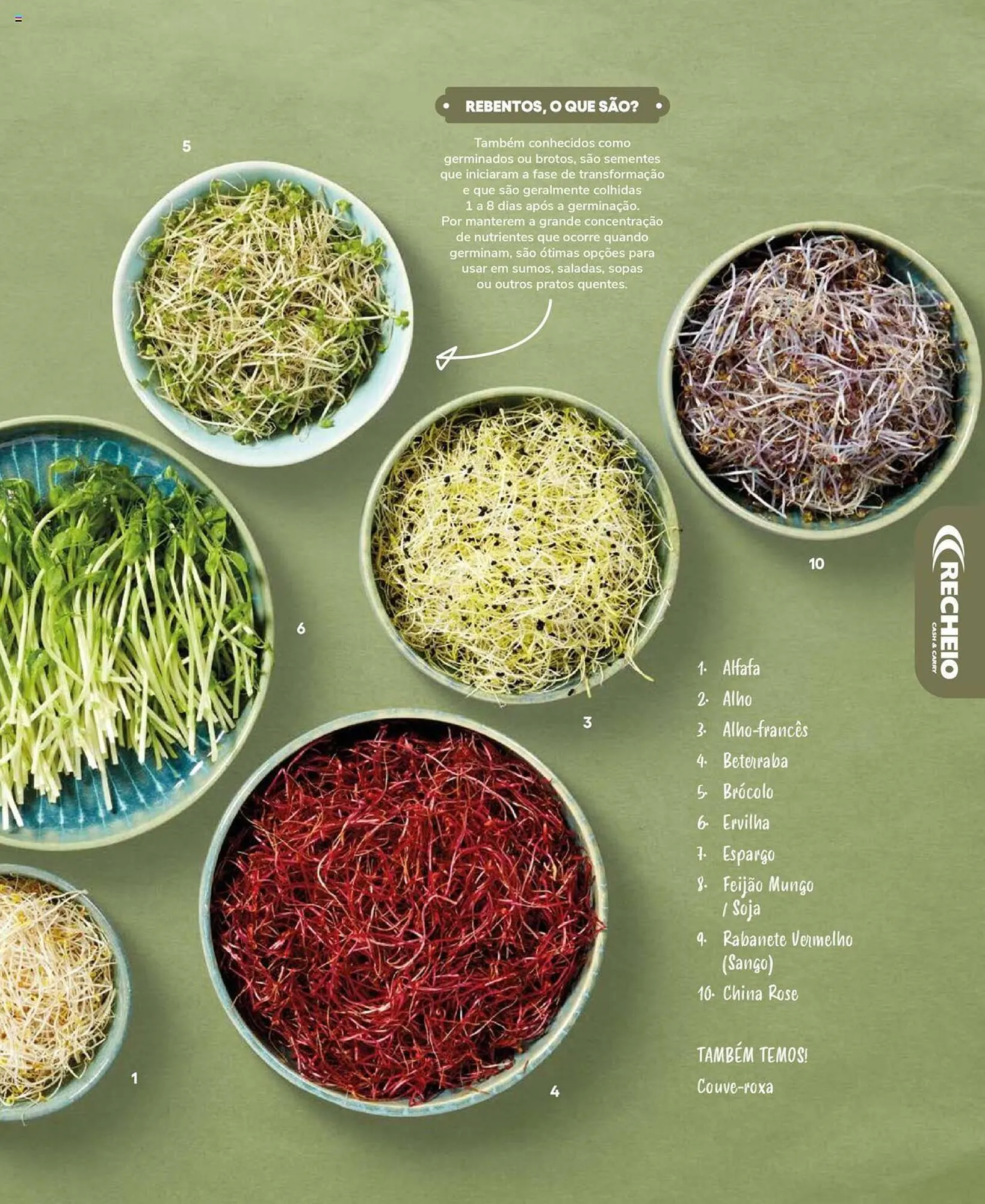 Folheto Folheto Recheio de 19 de setembro até 31 de dezembro 2025 - Pagina 55