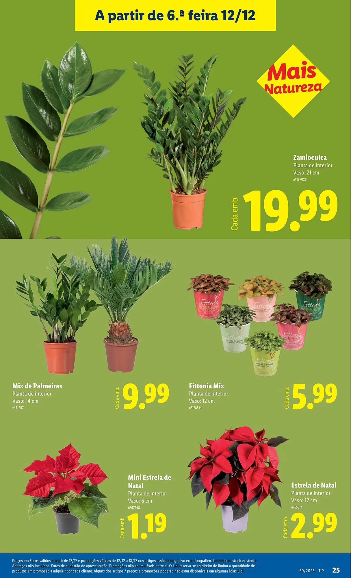 Folheto Folheto Lidl de 8 de dezembro até 14 de dezembro 2025 - Pagina 25