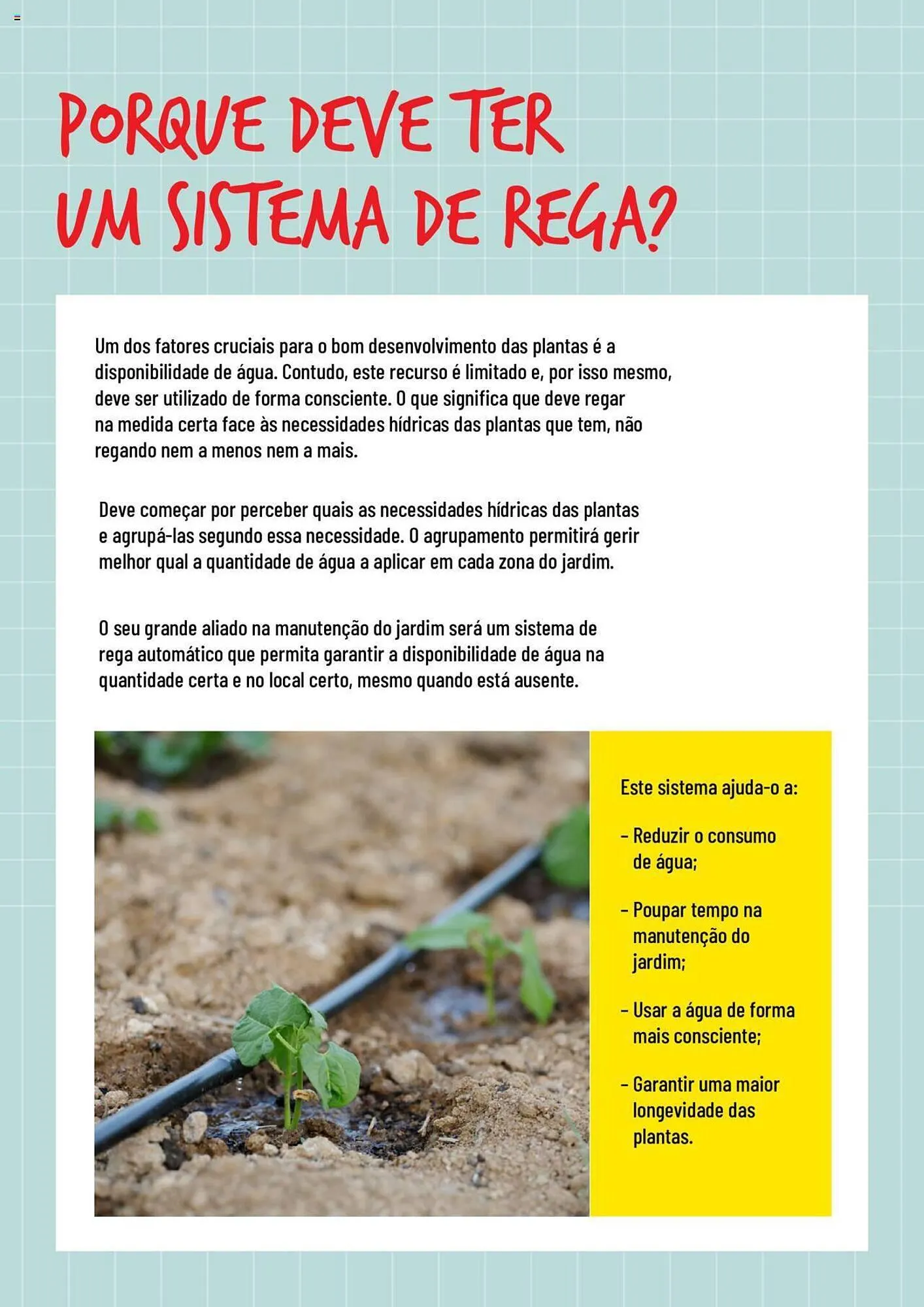 Folheto Folheto Bricomarché Rega de 17 de janeiro até 31 de dezembro 2024 - Pagina 2