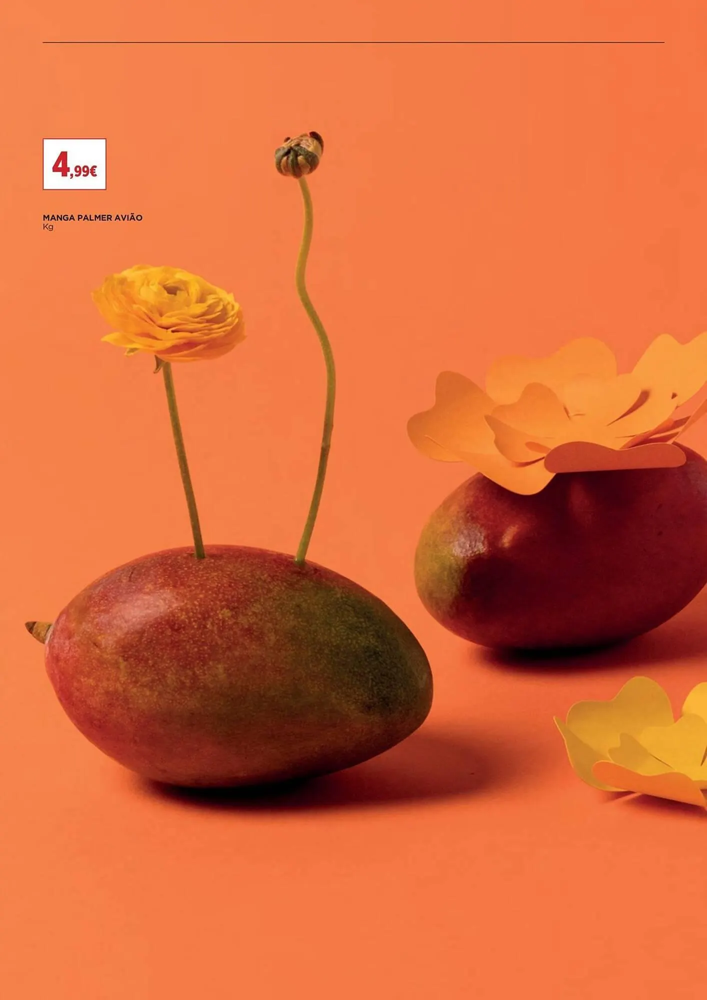 Folheto Folheto El Corte Inglés de 9 de maio até 22 de maio 2025 - Pagina 25