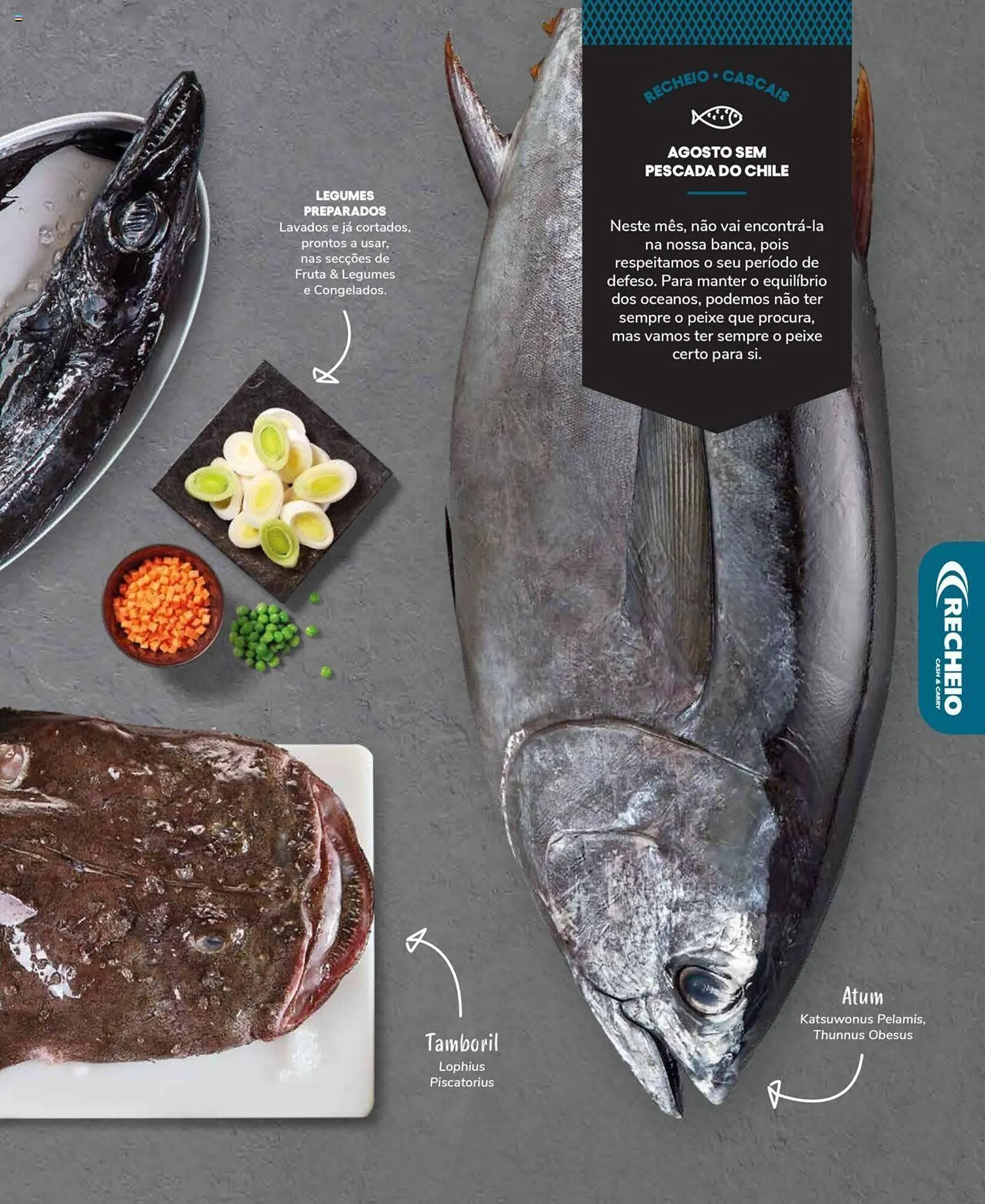 Folheto Folheto Recheio de 19 de setembro até 31 de dezembro 2025 - Pagina 13