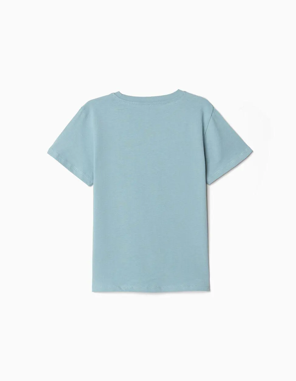 T-shirt Pequeno Estampado, Menino, Azul Claro