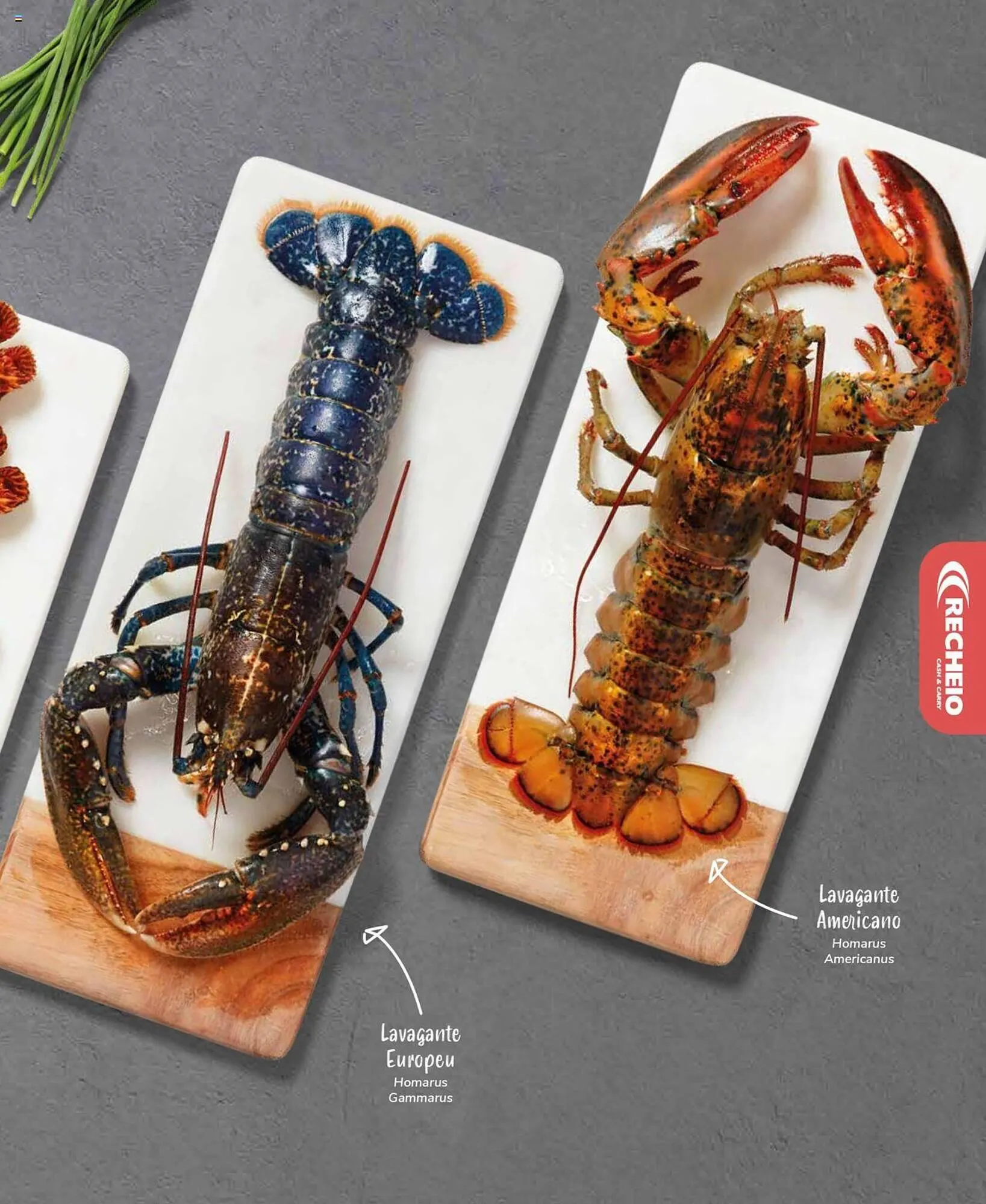 Folheto Folheto Recheio de 19 de setembro até 31 de dezembro 2025 - Pagina 27