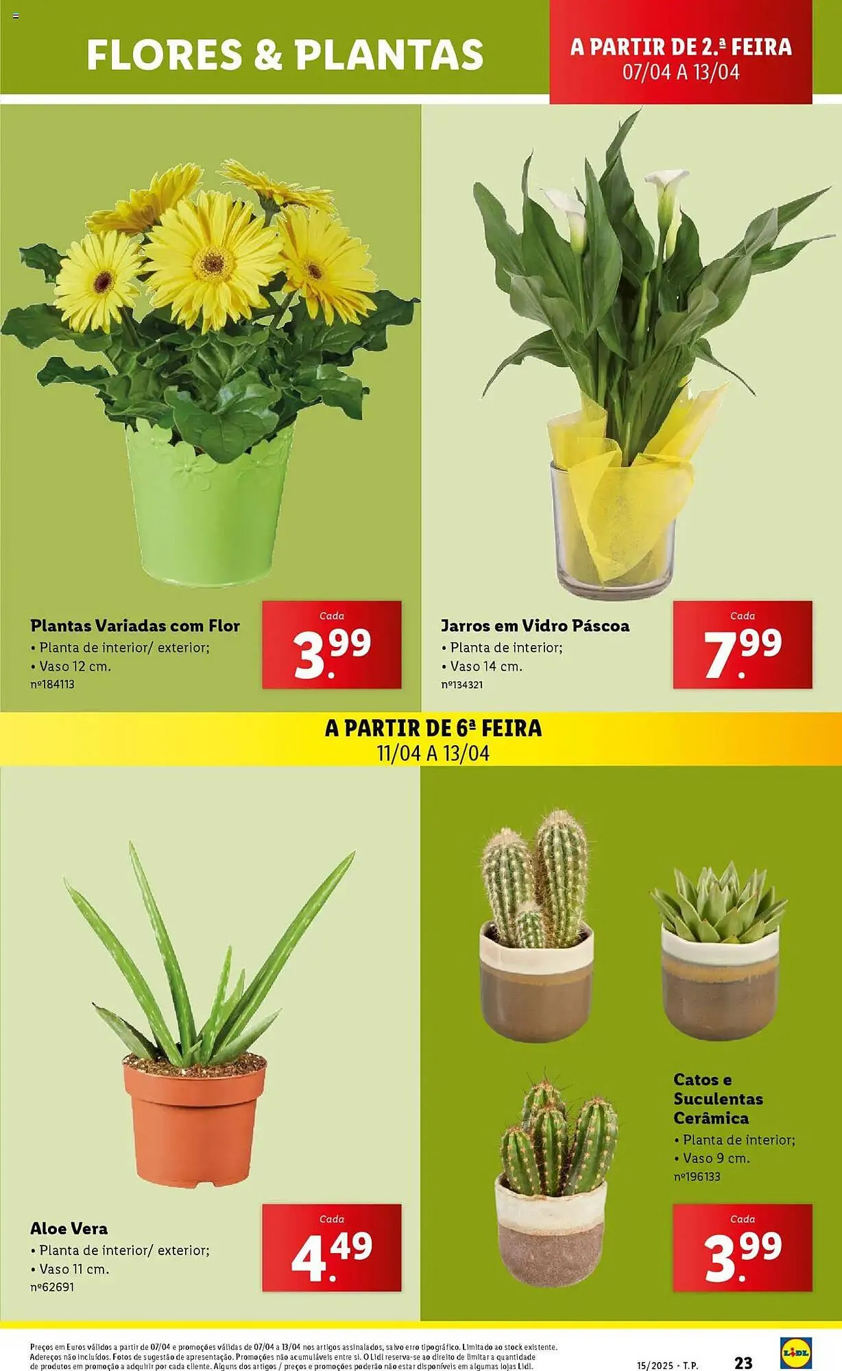Folheto Folheto Lidl de 7 de abril até 13 de abril 2025 - Pagina 23