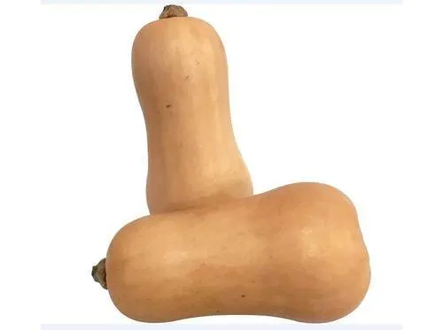 abóbora butternut bio kg