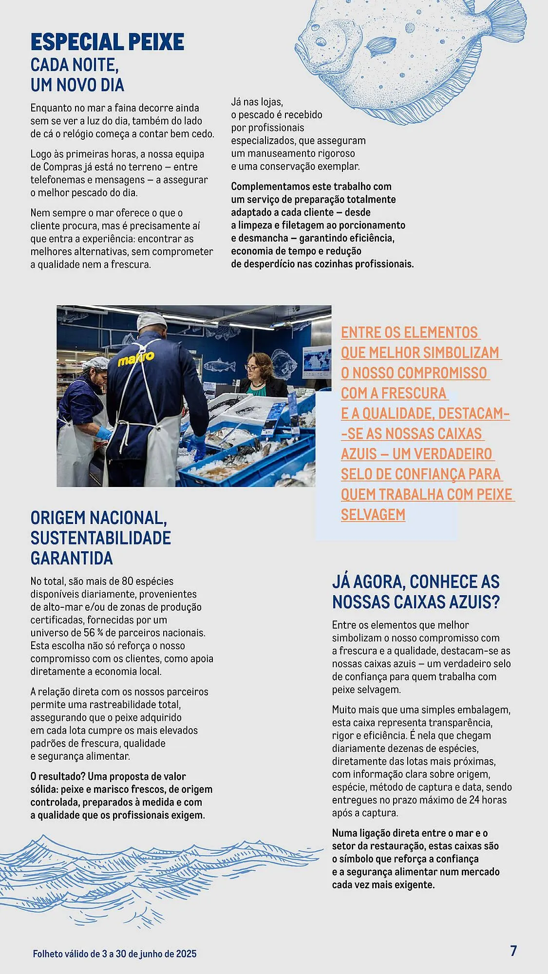 Folheto Folheto Makro de 3 de junho até 30 de junho 2025 - Pagina 7