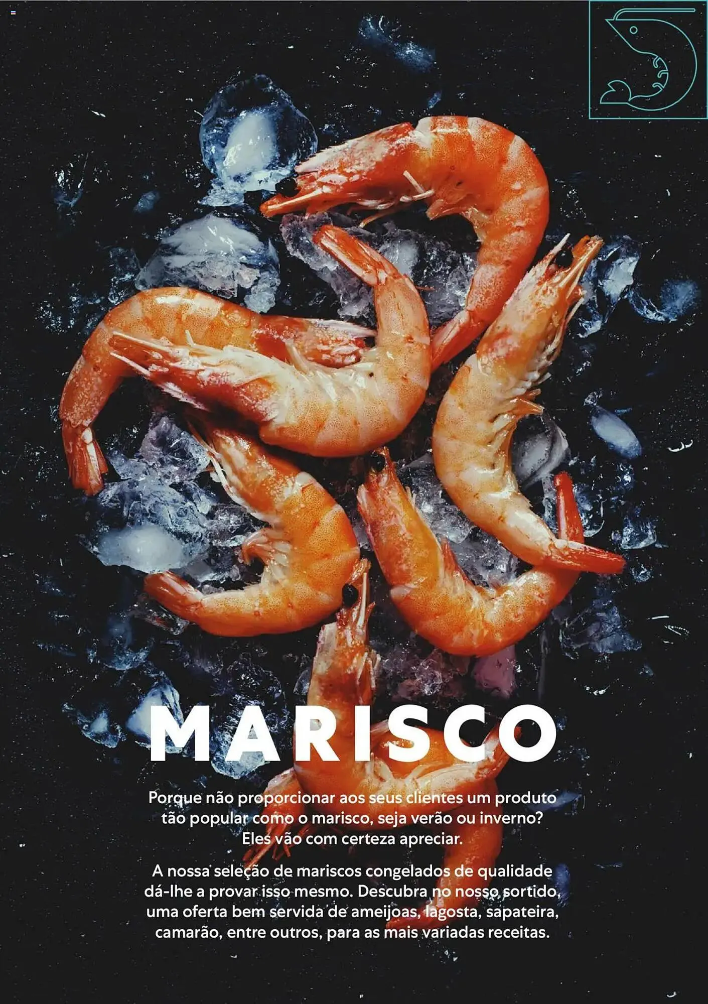 Folheto Folheto Recheio de 14 de julho até 1 de janeiro 2026 - Pagina 4