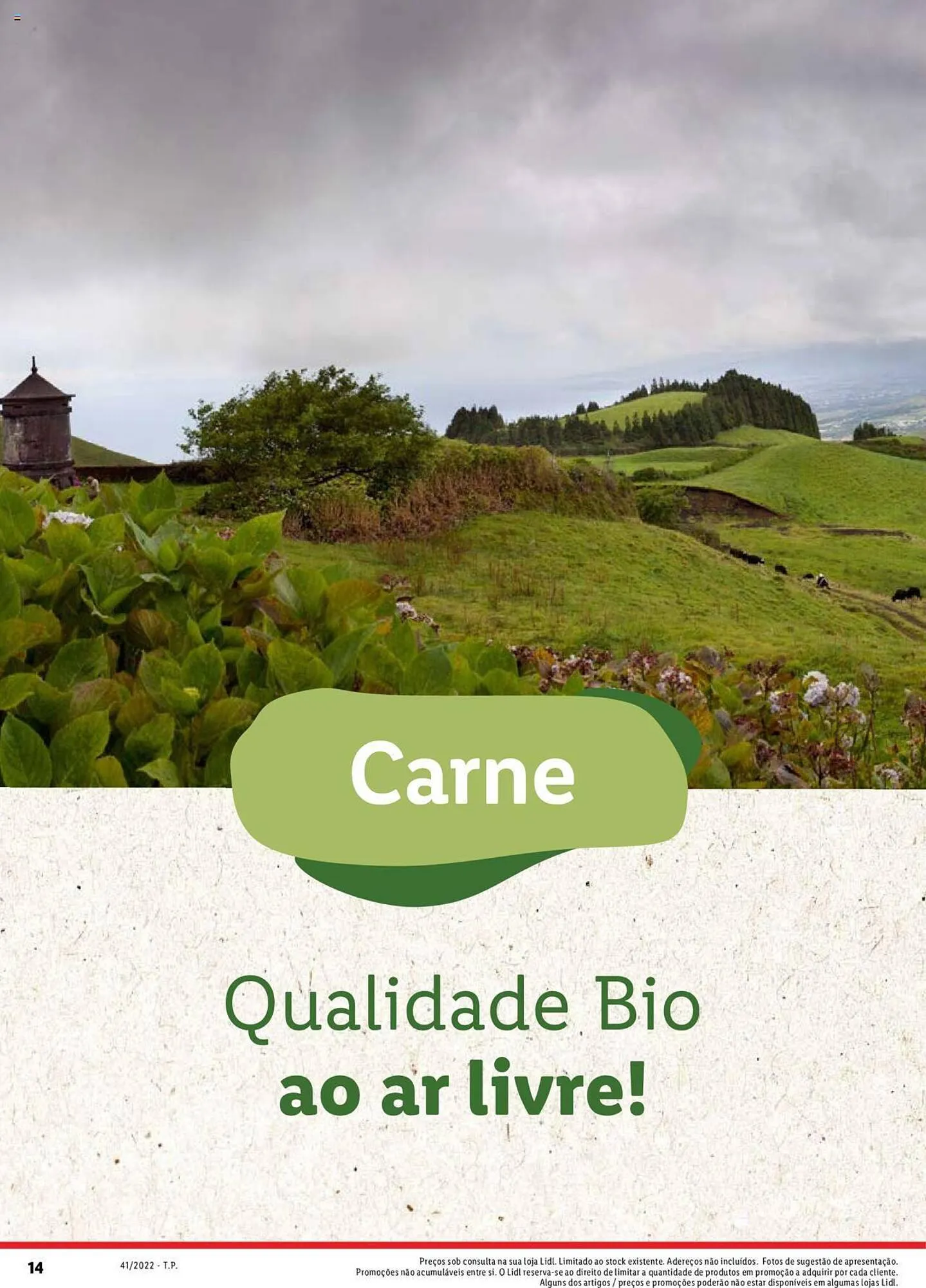 Folheto Folheto Lidl de 5 de janeiro até 1 de janeiro 2025 - Pagina 14