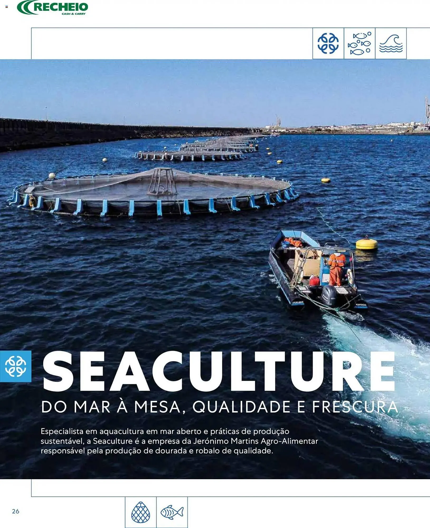 Folheto Folheto Recheio de 16 de março até 1 de janeiro 2027 - Pagina 26