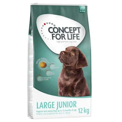 Concept for Life 12 kg ração para cães a preço especial!