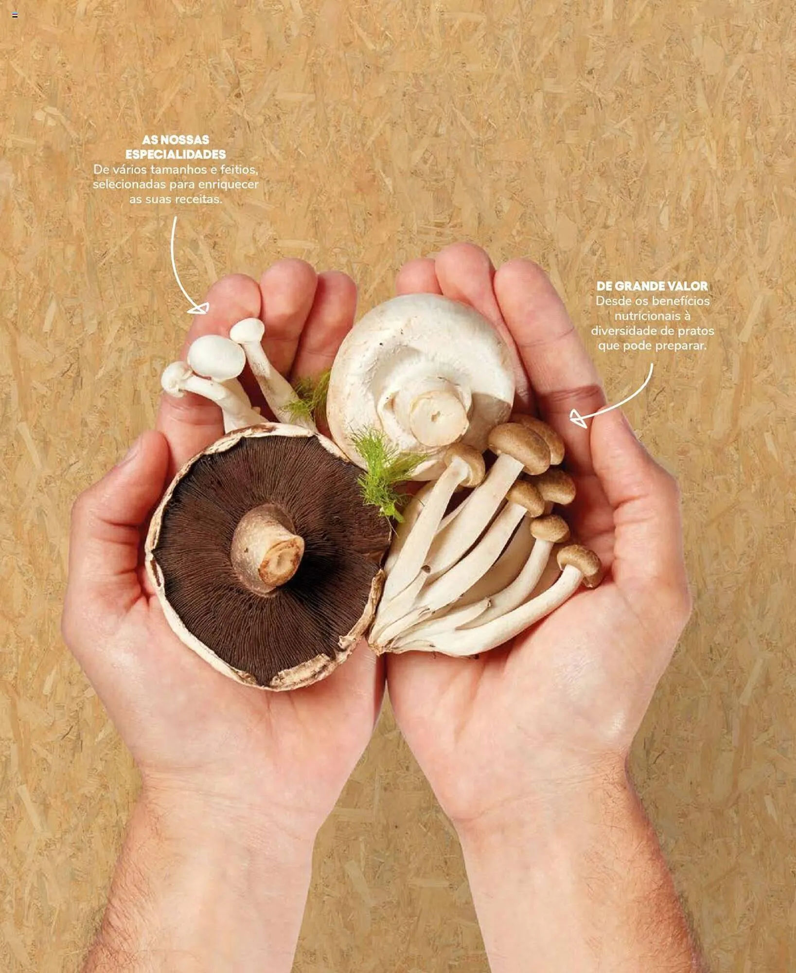 Folheto Folheto Recheio de 19 de setembro até 31 de dezembro 2025 - Pagina 43