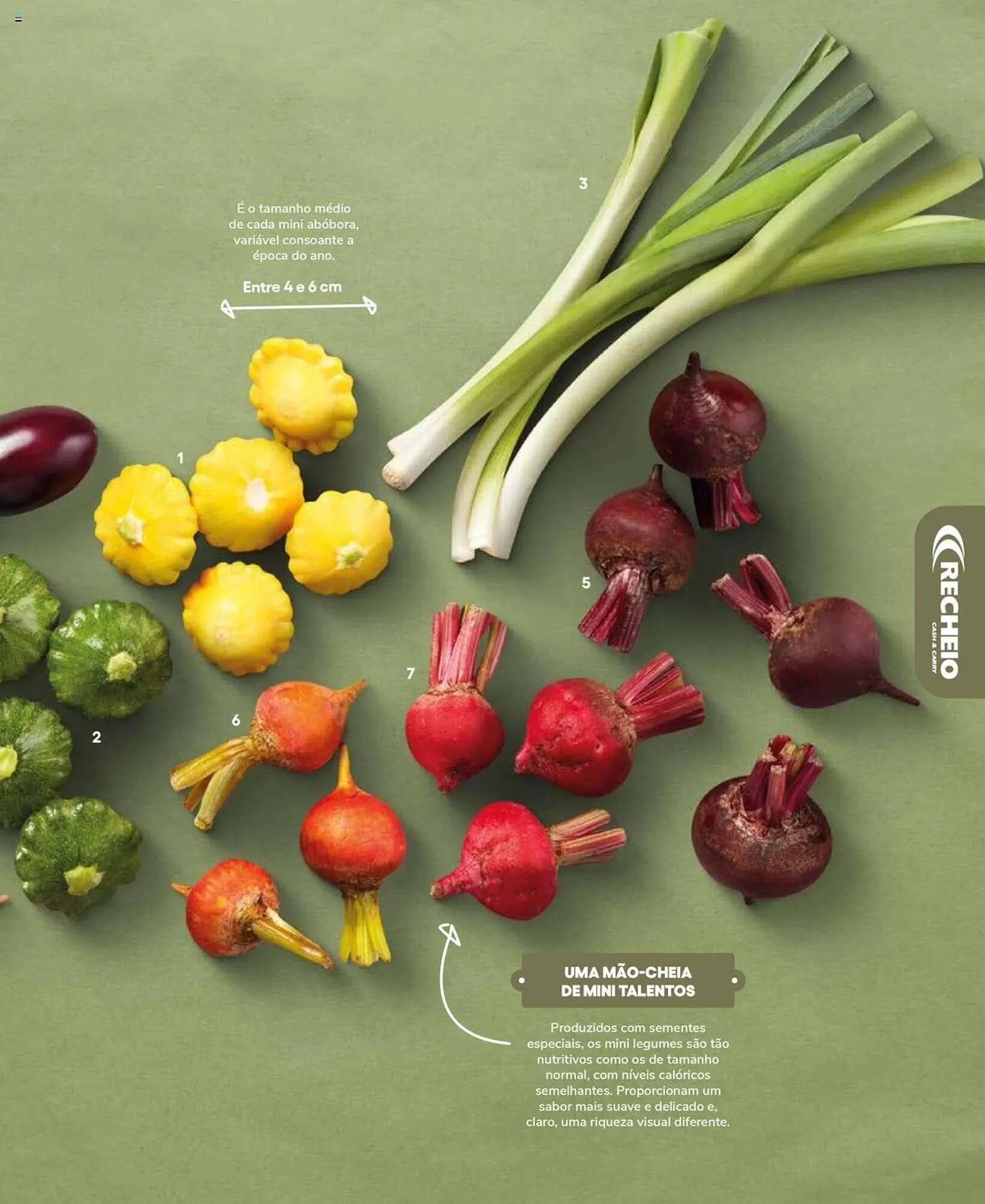 Folheto Folheto Recheio de 19 de setembro até 31 de dezembro 2025 - Pagina 47