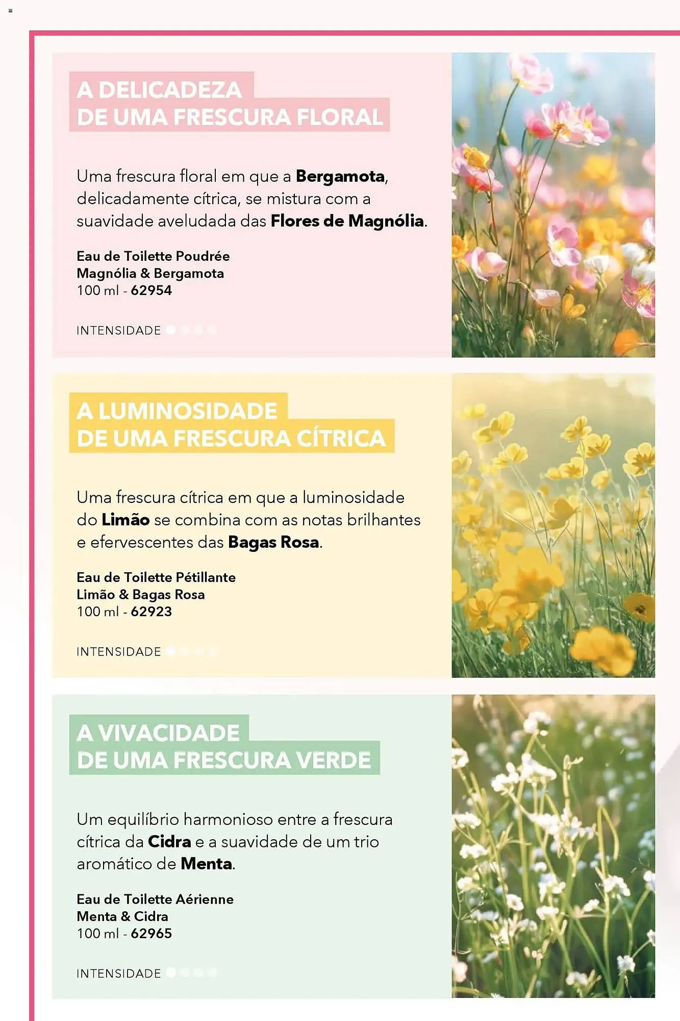 Folheto Catálogo Yves Rocher de 17 de abril até 12 de maio 2026 - Pagina 4