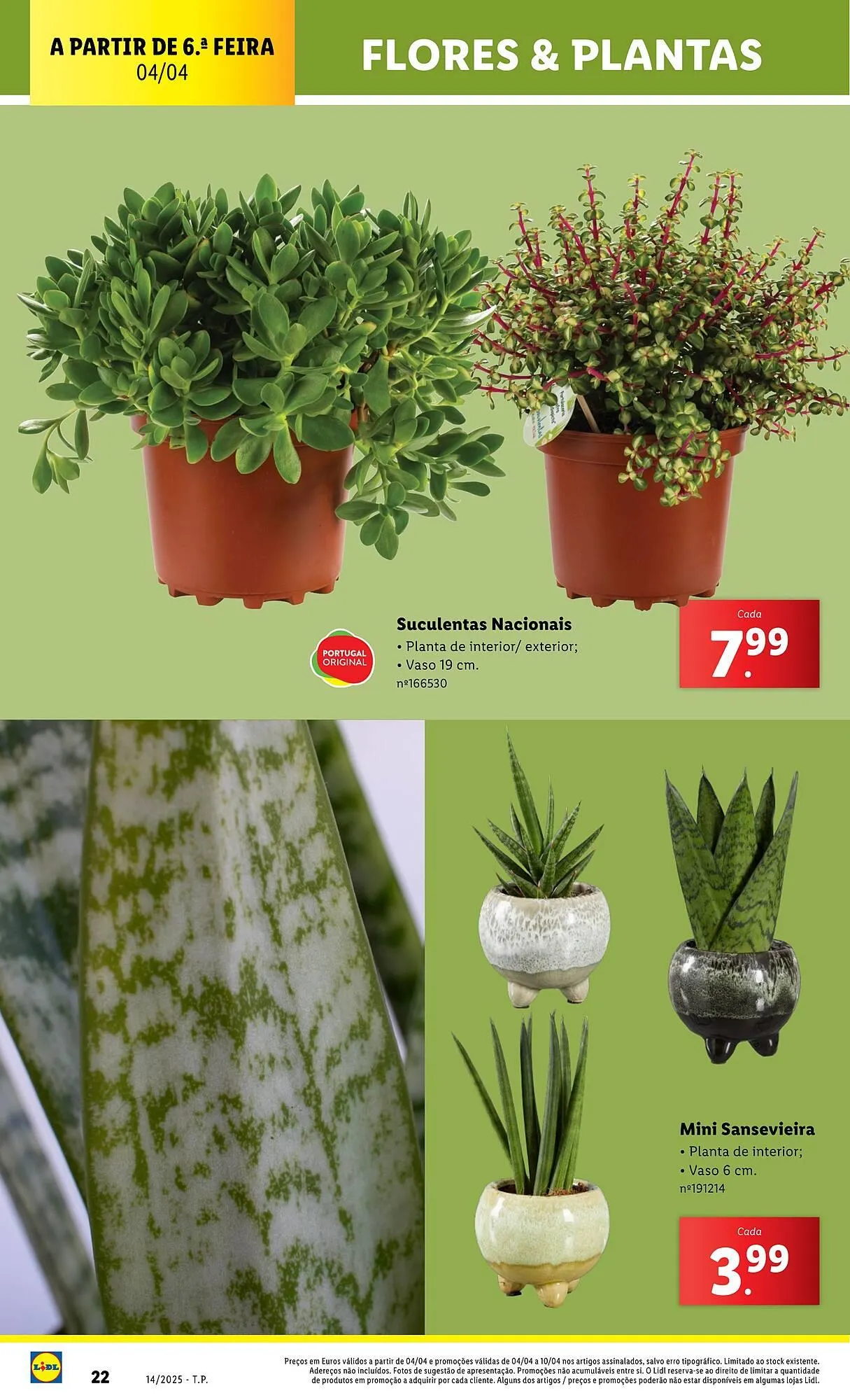 Folheto Folheto Lidl de 31 de março até 6 de abril 2025 - Pagina 22