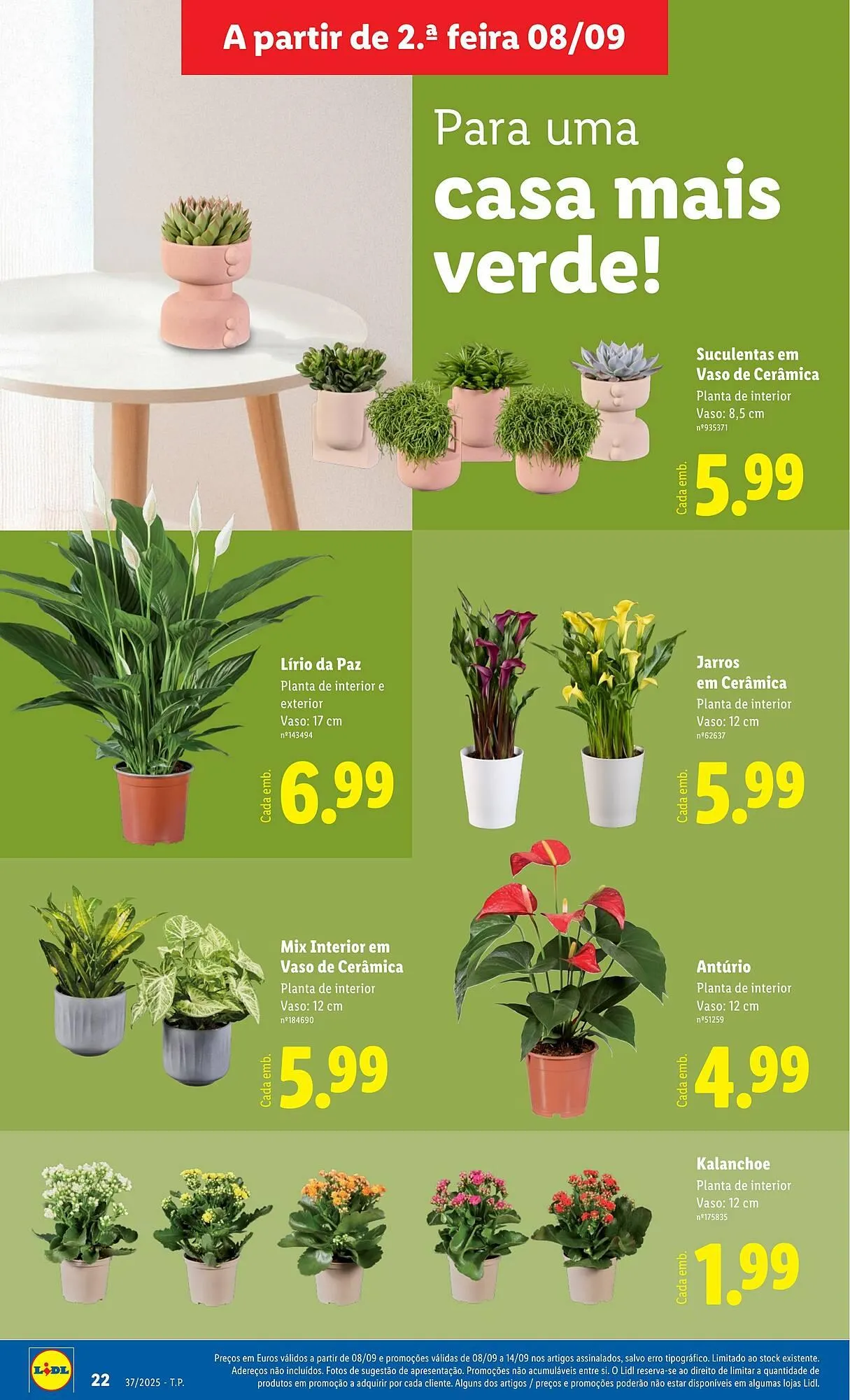 Folheto Folheto Lidl de 8 de setembro até 14 de setembro 2025 - Pagina 22