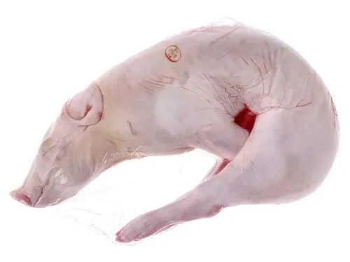 leitão inteiro congelado kg