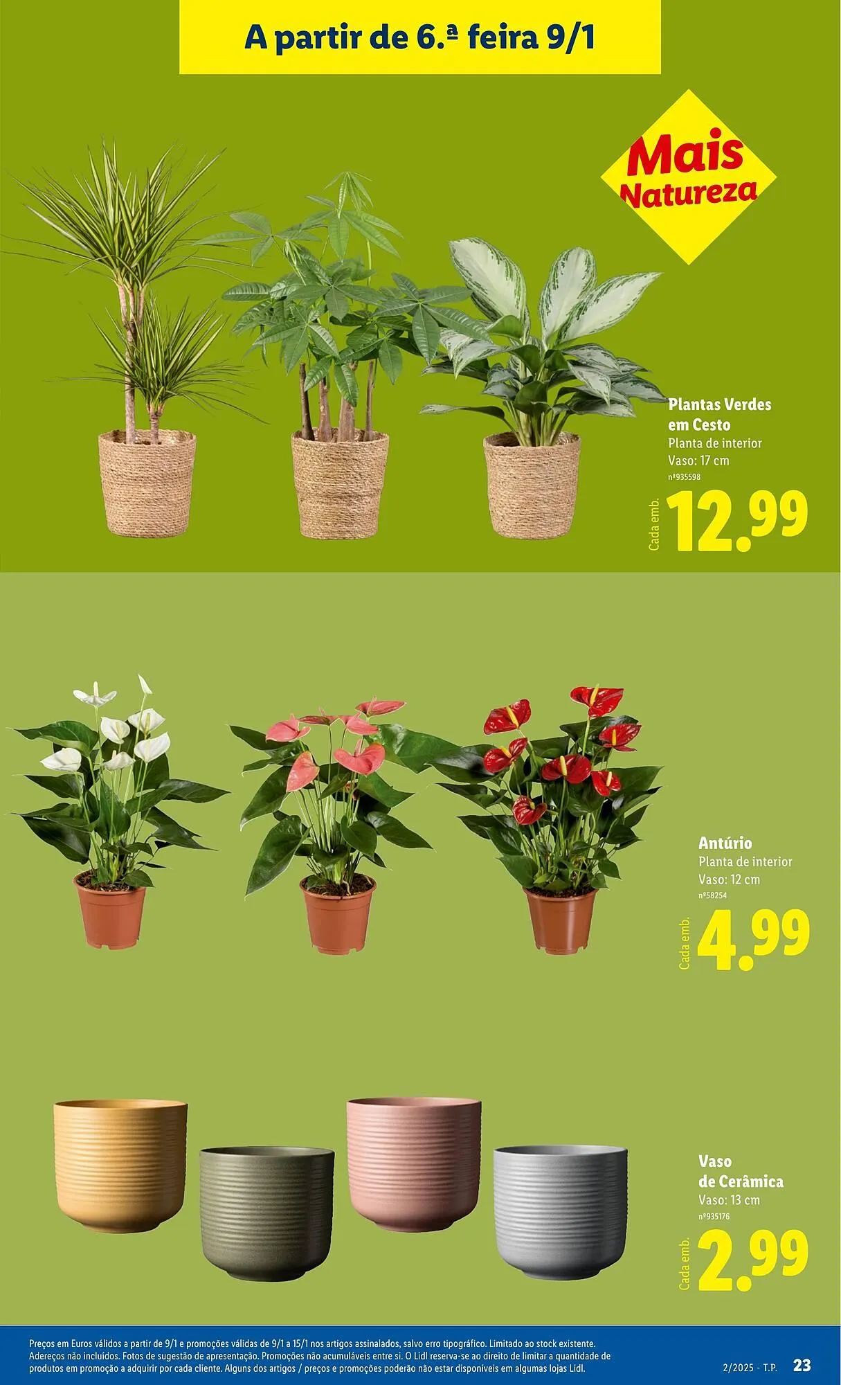 Folheto Folheto Lidl de 5 de janeiro até 11 de janeiro 2026 - Pagina 23