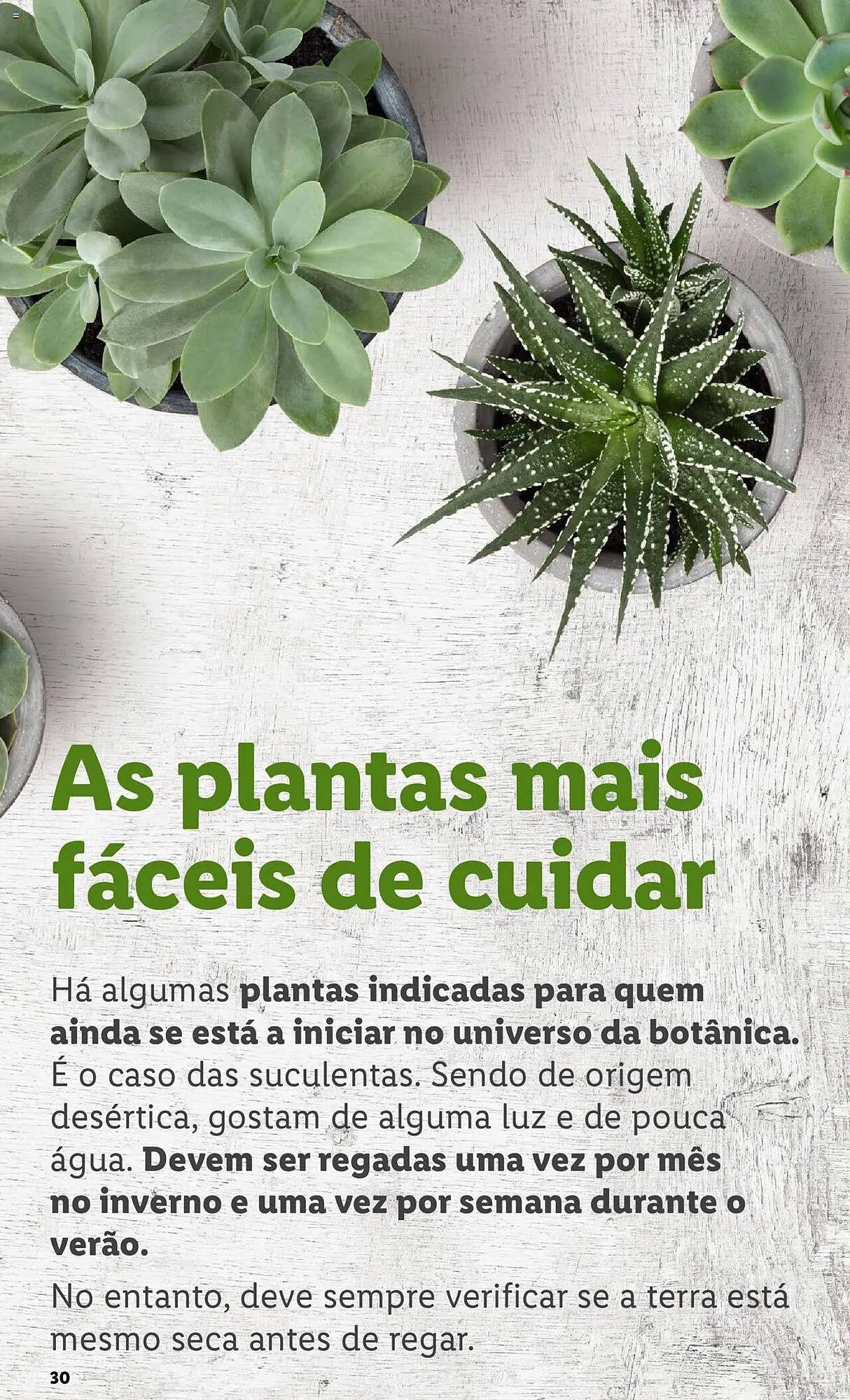 Folheto Folheto Lidl de 4 de março até 31 de março 2024 - Pagina 30