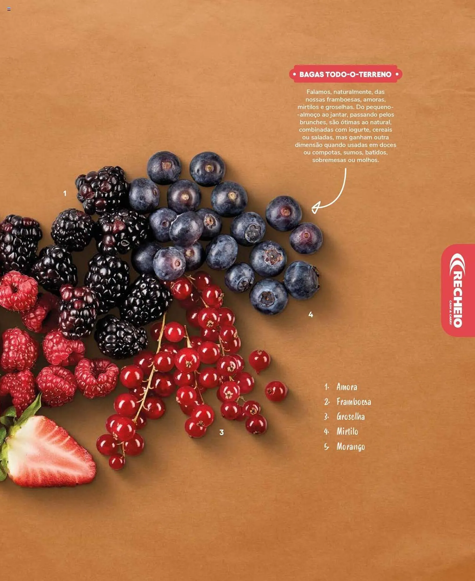 Folheto Folheto Recheio de 19 de setembro até 31 de dezembro 2025 - Pagina 77