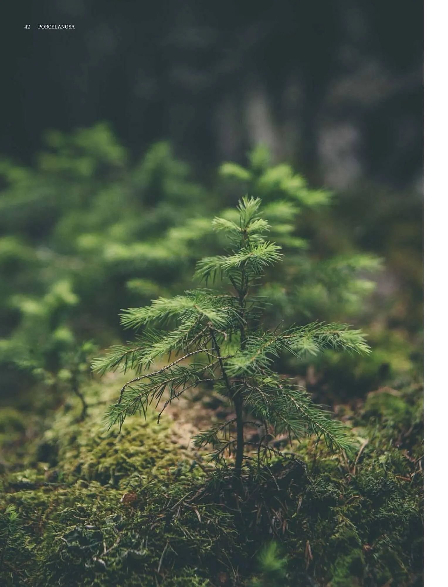 Folheto Catálogo Porcelanosa de 7 de janeiro até 31 de dezembro 2026 - Pagina 42