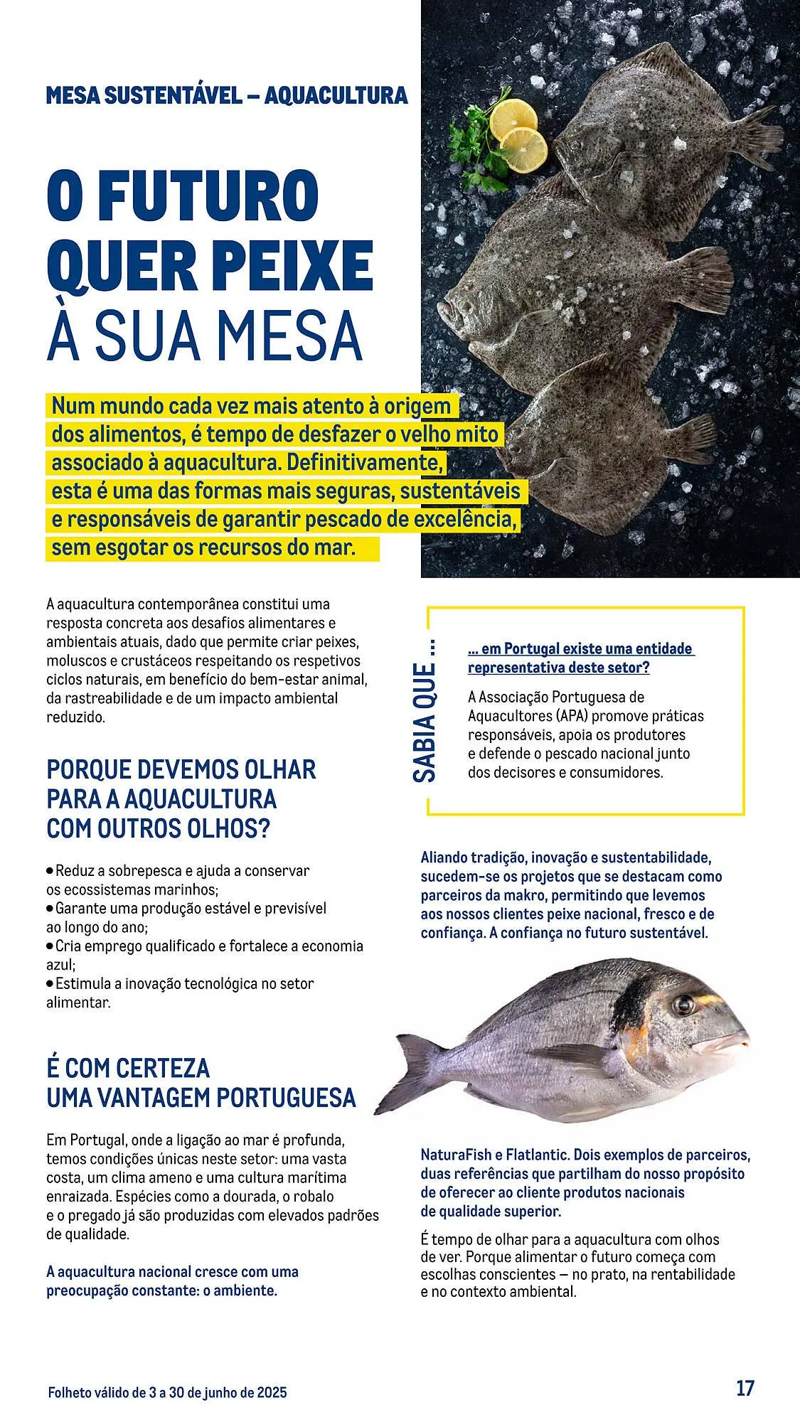 Folheto Folheto Makro de 3 de junho até 30 de junho 2025 - Pagina 17