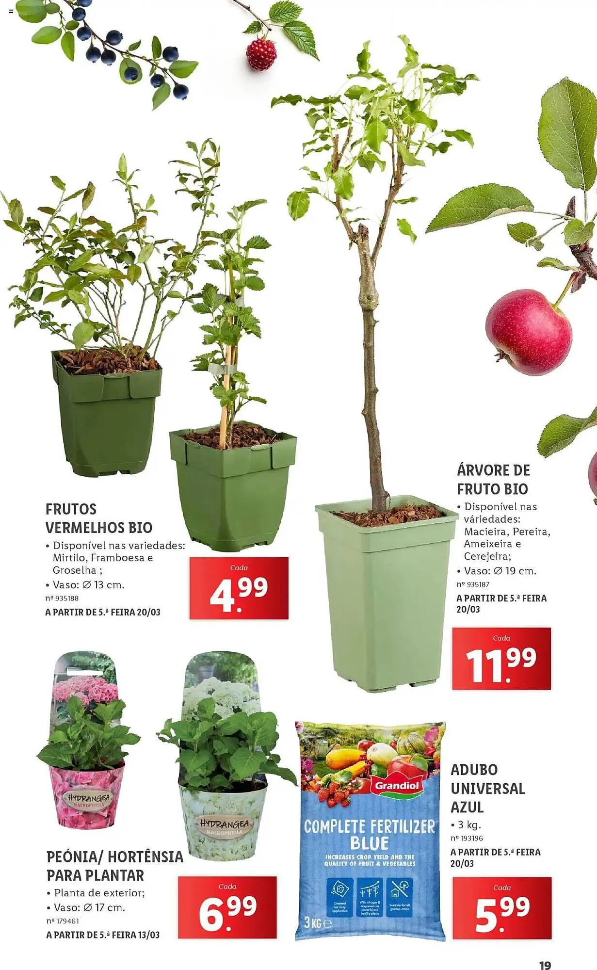 Folheto Folheto Lidl de 3 de março até 31 de maio 2025 - Pagina 19