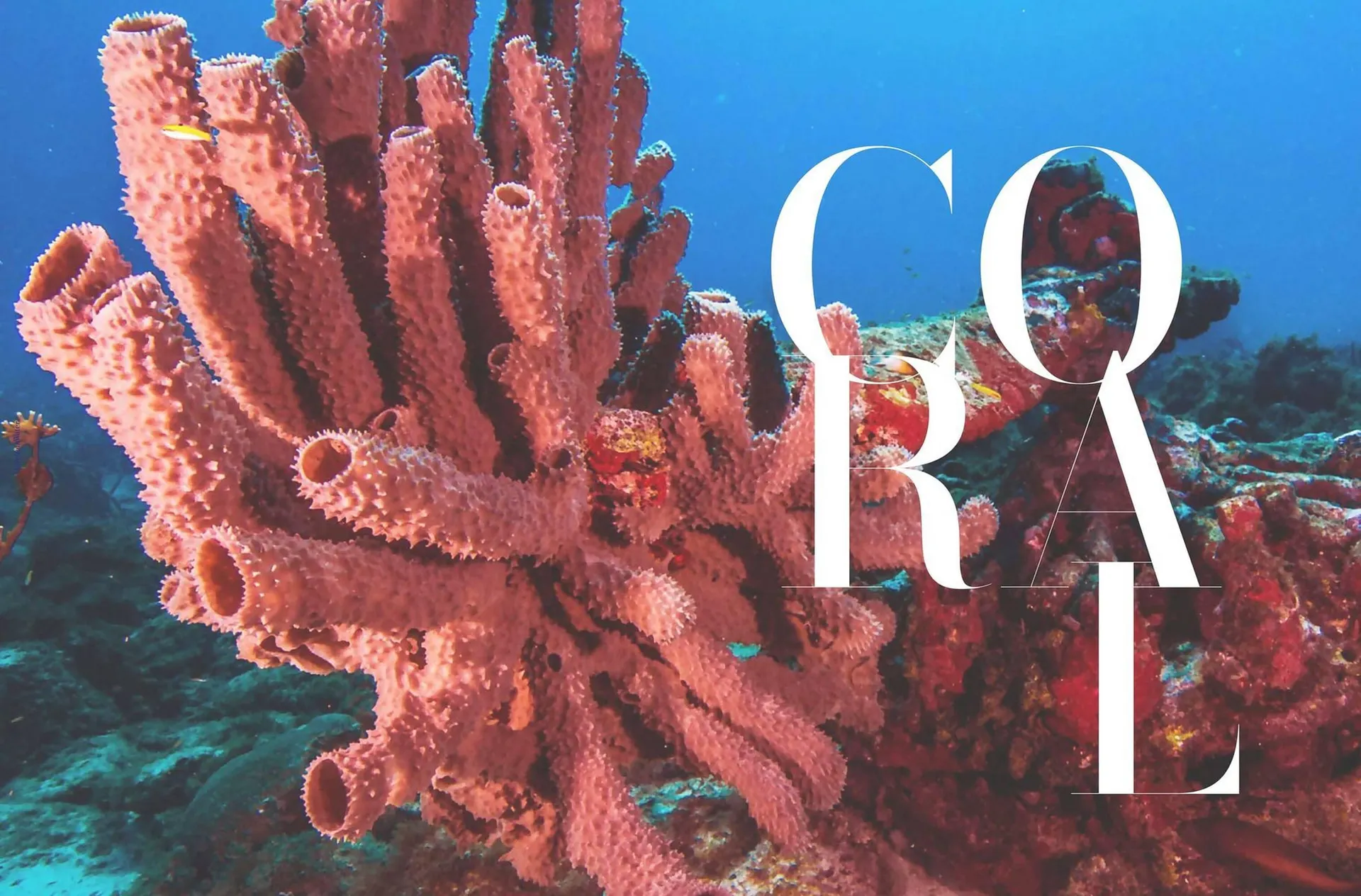 Folheto Catálogo Porcelanosa de 14 de outubro até 31 de dezembro 2025 - Pagina 22